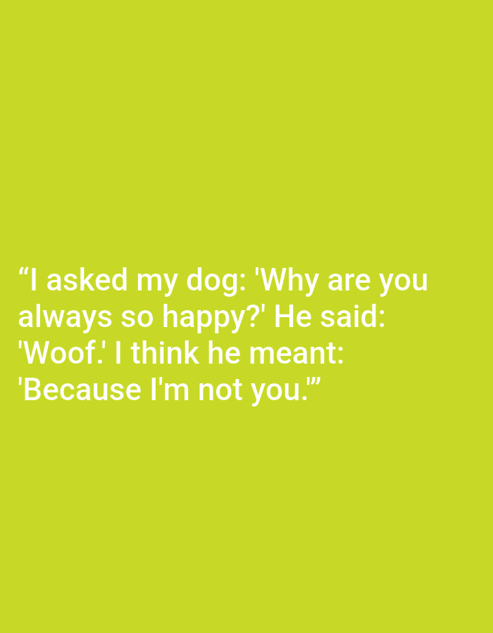 The image is a digitally generated graphic featuring white text on a lime green background. The text is a joke about a dog. There is no discernible location in Kępno, Poland, or any other real-world environment present.
