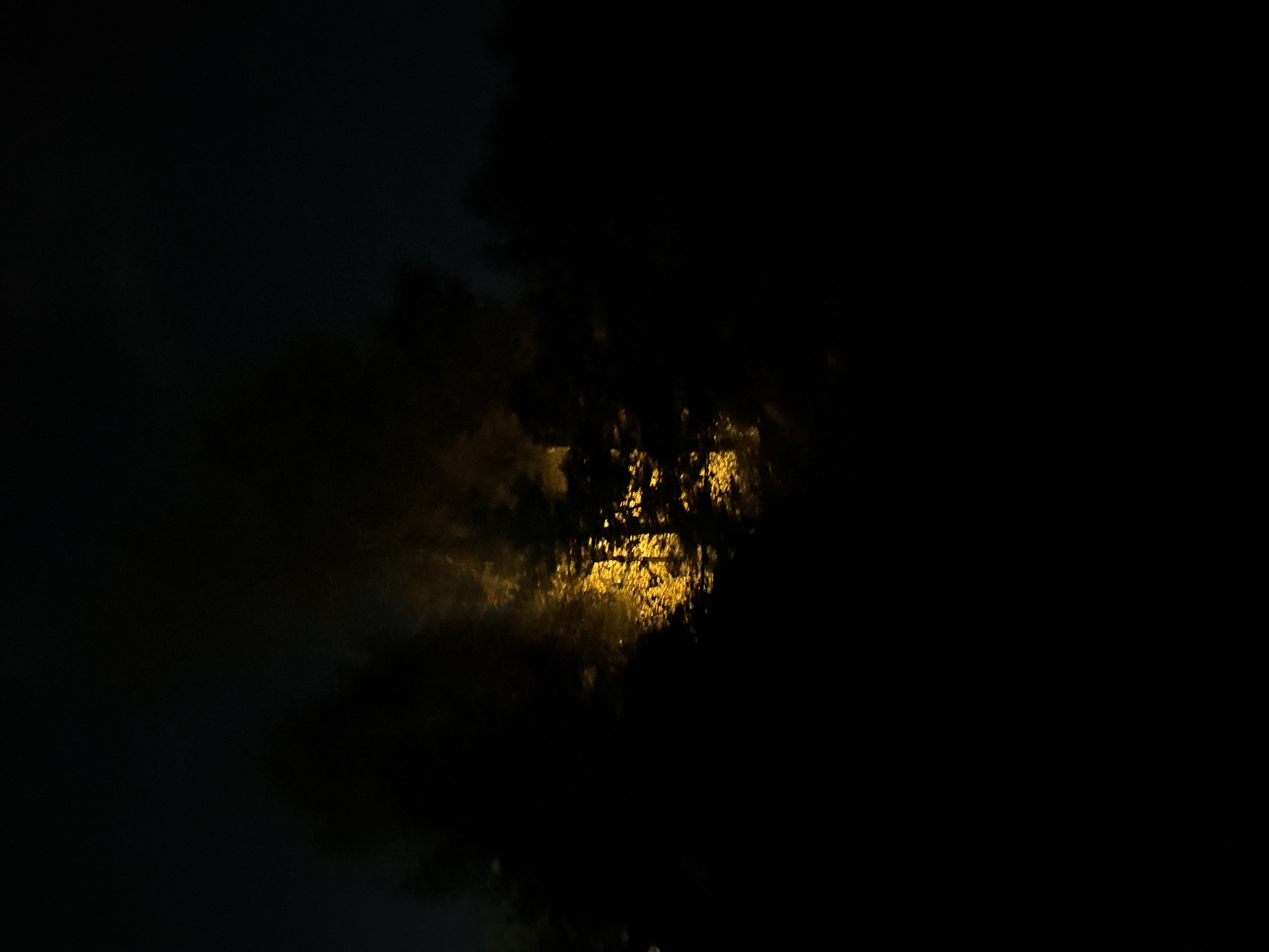 A low-light, vertical, full-frame photograph captures a scene of dense, dark foliage silhouetted against a faint, yellow-orange light source. The light appears to emanate from behind the trees, casting a diffused glow that highlights some of the branches and leaves. The overall impression is one of deep shadow with a subtle, warm illumination breaking through. The environment is predominantly dark, suggesting nighttime or very deep shade, with the shapes of trees being the most discernible elements. There are no visible people, animals, or distinct man-made structures. The image suggests an outdoor setting, possibly a wooded area or a densely treed park, under artificial light.