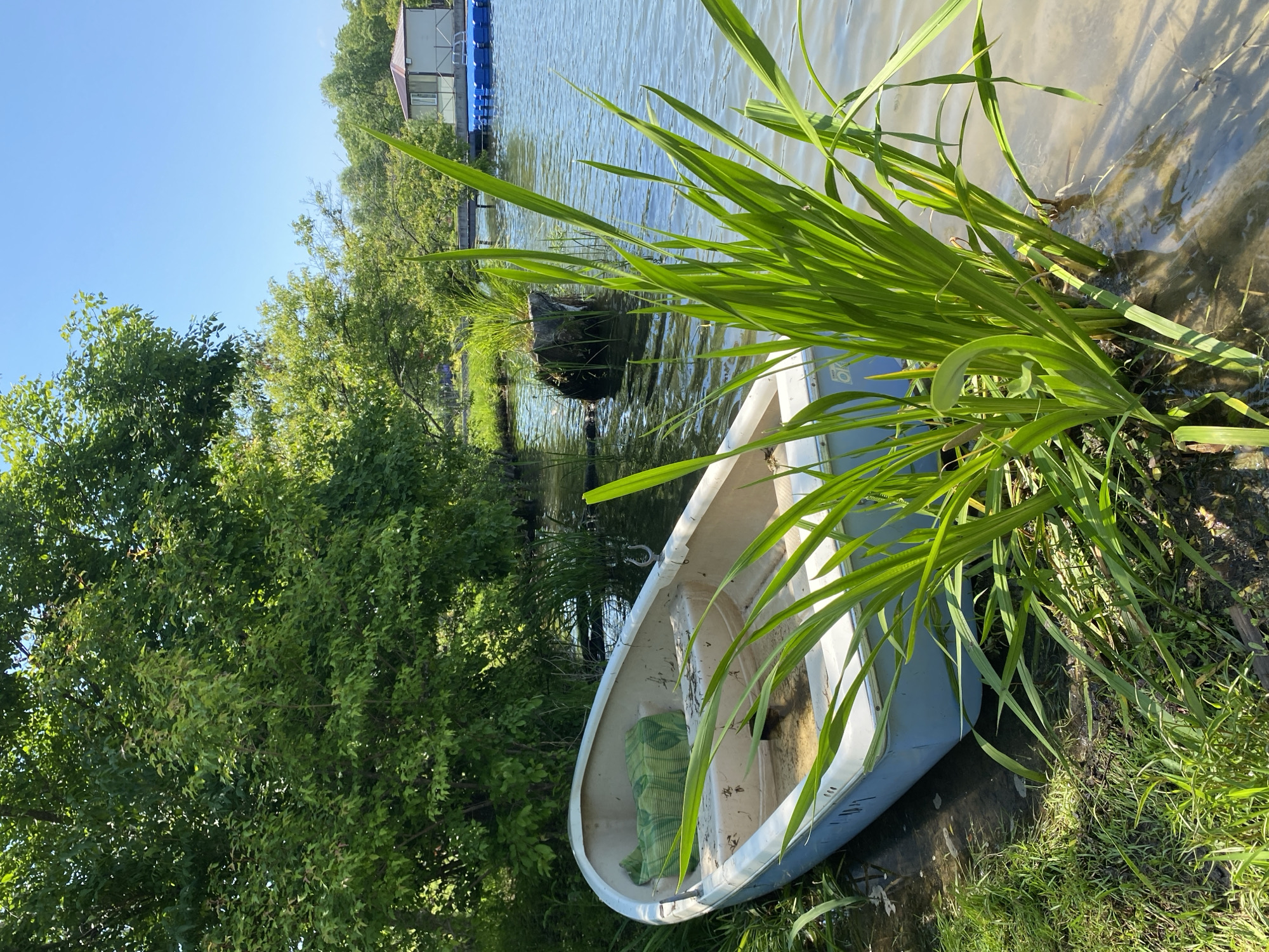 An empty, light blue and white rowboat rests partially on a grassy bank and partially in calm water. The boat is positioned at an angle to the right of the frame, facing away from the viewer. Inside the boat, a green patterned cushion is visible. Tall green reeds and grass grow in the water near the boat and on the bank. In the background, lush green trees line the water's edge, and beyond them, a small building with a reddish roof sits on a floating platform, flanked by blue modular structures. The sky above is clear and blue.