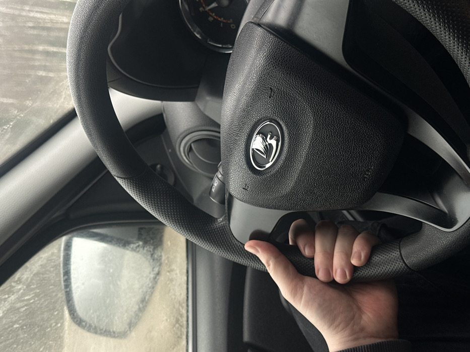 The image depicts the interior of a Lada vehicle, viewed from the driver's perspective. A right human hand, with visible knuckles and short fingernails, grips the left side of a black, textured steering wheel. The central hub of the steering wheel displays a silver Lada emblem. Partially visible dashboard components include an air vent and a section of the instrument cluster with an orange needle. The driver's side window and exterior mirror are visible on the left. The side mirror is significantly soiled with dirt or grime, obscuring its reflection. Through the dirty window and mirror, an indistinct outdoor environment is visible, suggesting an unpaved road or muddy ground and sparse trees in the background, indicative of a rural or undeveloped area. The specific location in Starkovo, Russia, cannot be confirmed from the visual evidence presented.