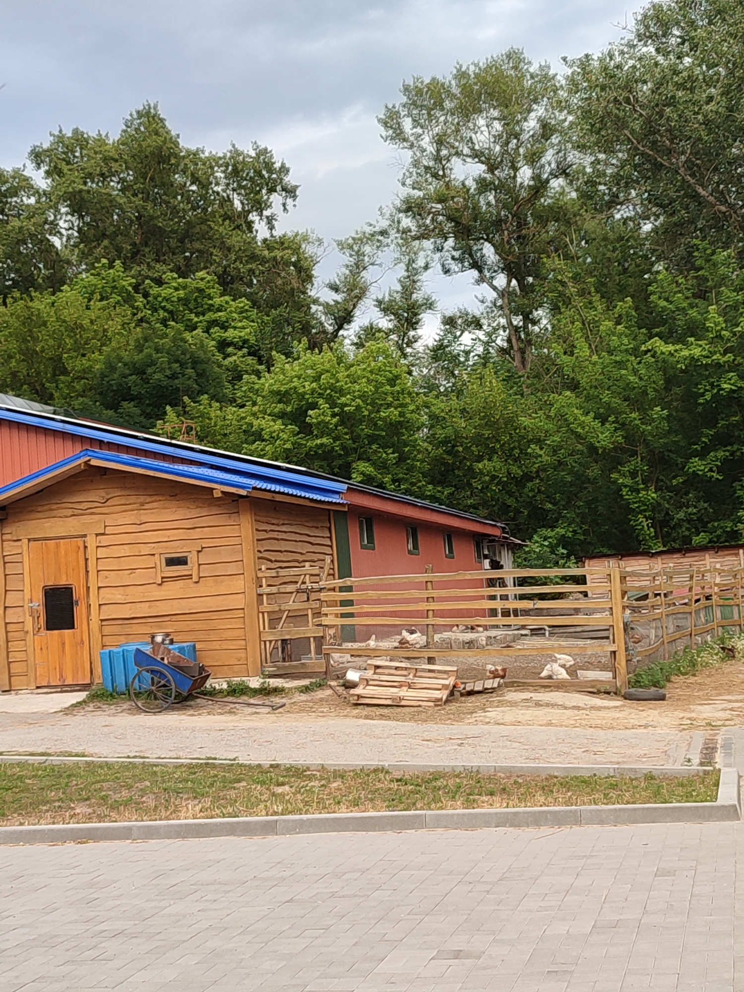 The image shows a farm scene in Shcherbani, Ukraine. In the foreground, there is a paved area and a strip of grass. Behind the grass, there is a wooden structure with a blue roof, resembling a shed or barn. To the right of the wooden structure, there is a fenced enclosure containing several chickens. In front of the wooden structure, there is a blue barrel and a small, wheeled cart. The background consists of a dense line of trees under a cloudy sky.