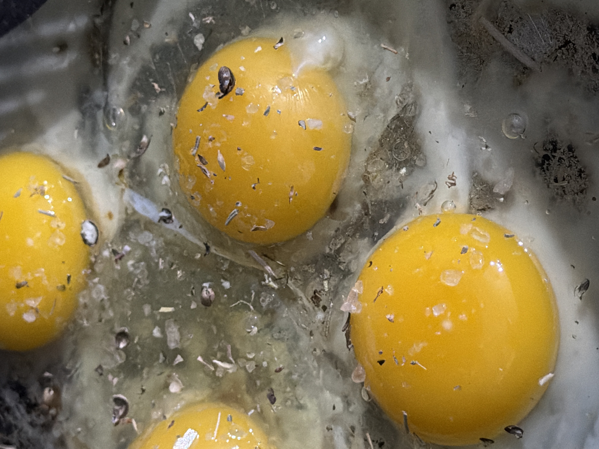 The image shows four raw egg yolks in a pan, possibly being prepared for cooking. The yolks are bright yellow and spherical. They are surrounded by clear egg white and a mixture of seasonings. There are flakes of herbs and perhaps pepper sprinkled throughout the egg white and on the yolks. The background of the pan appears to be grey or silver. No people or location are identifiable in the image.