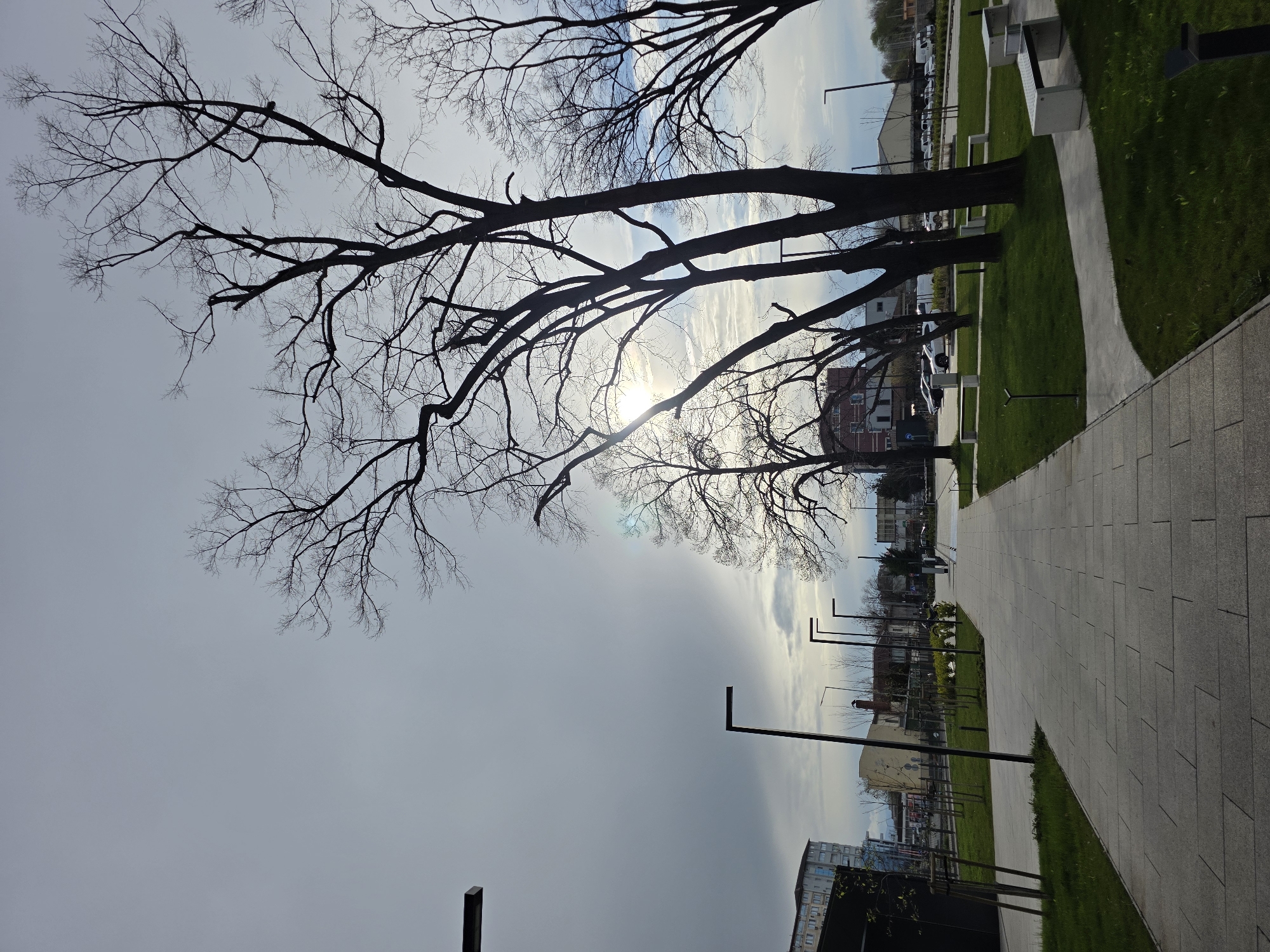 The image shows a park setting in Plovdiv, Bulgaria. A paved walkway runs along the right side of the frame, lined with green grass. Trees with bare branches, silhouetted against a bright sky, are on the left. Street lamps line the walkway. Buildings are visible in the background.