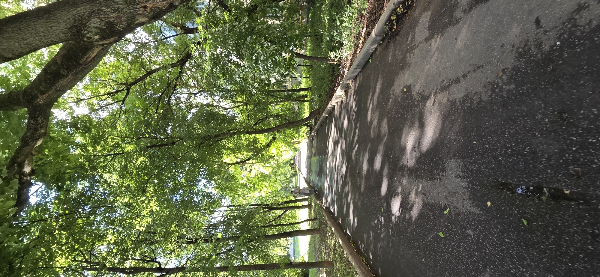 A person is walking down a paved path in a park lined with trees. The path is dark and appears wet, with dappled sunlight filtering through the leaves of the trees, creating shadows on the ground. The trees are lush and green, suggesting it is summer. The person is wearing light-colored clothing and appears to be walking away from the camera. The scene is peaceful and evokes a sense of tranquility. The location is Moscow, Russia. The time of day appears to be daytime, likely late morning or early afternoon, given the angle of the sun. The weather seems to be pleasant, with sunshine and possibly recent rain. No visible text is present in the image.