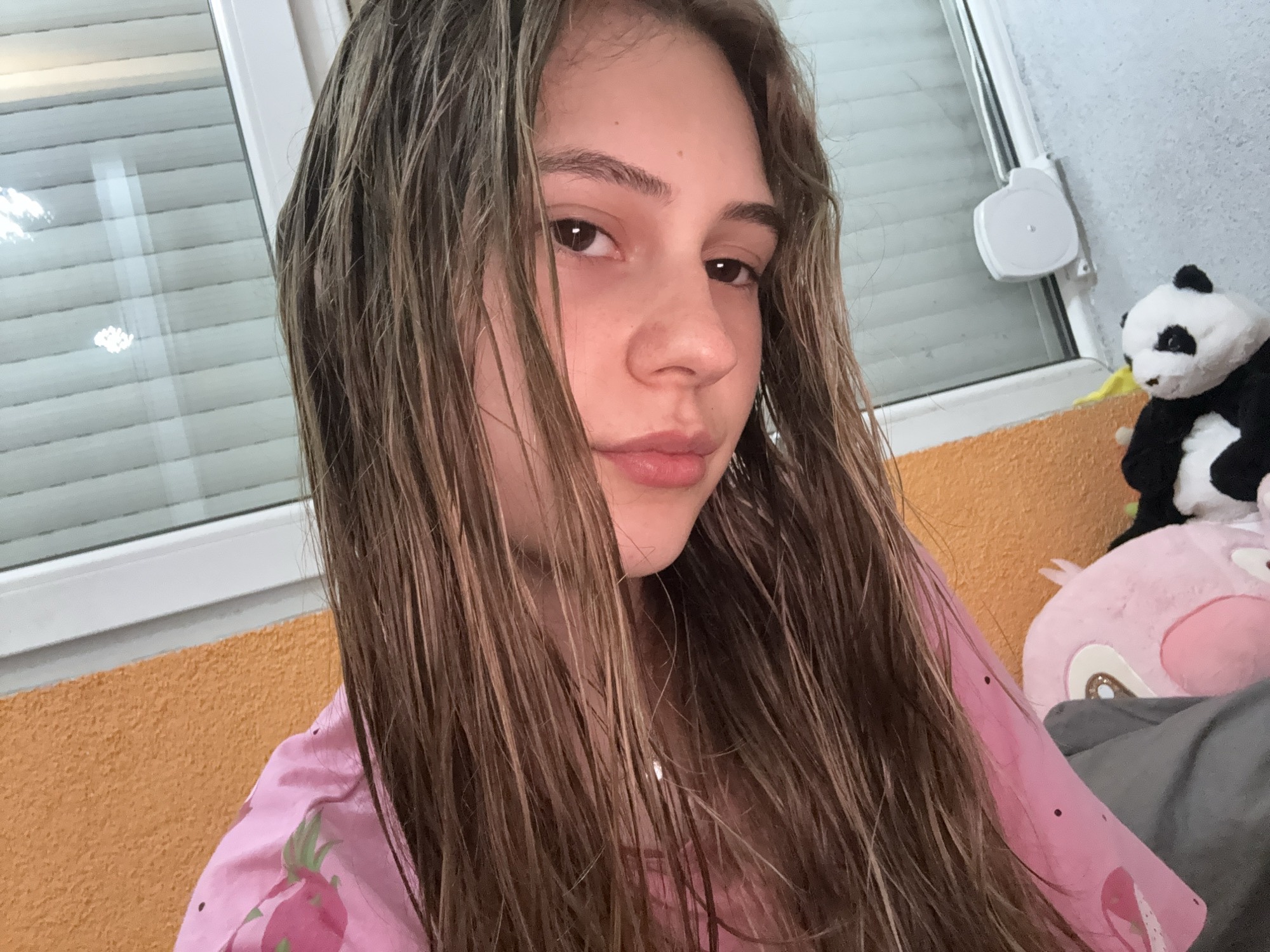 A young woman with wet, medium-brown hair is looking directly at the camera. She is wearing a pink shirt with a fruit pattern. Behind her, there is a window with blinds. A panda plush toy and a pink plush toy are visible in the background to the right. The wall is orange, and the room appears to be indoors. There is no information in the image to suggest the location is Panagyurishte, Bulgaria.