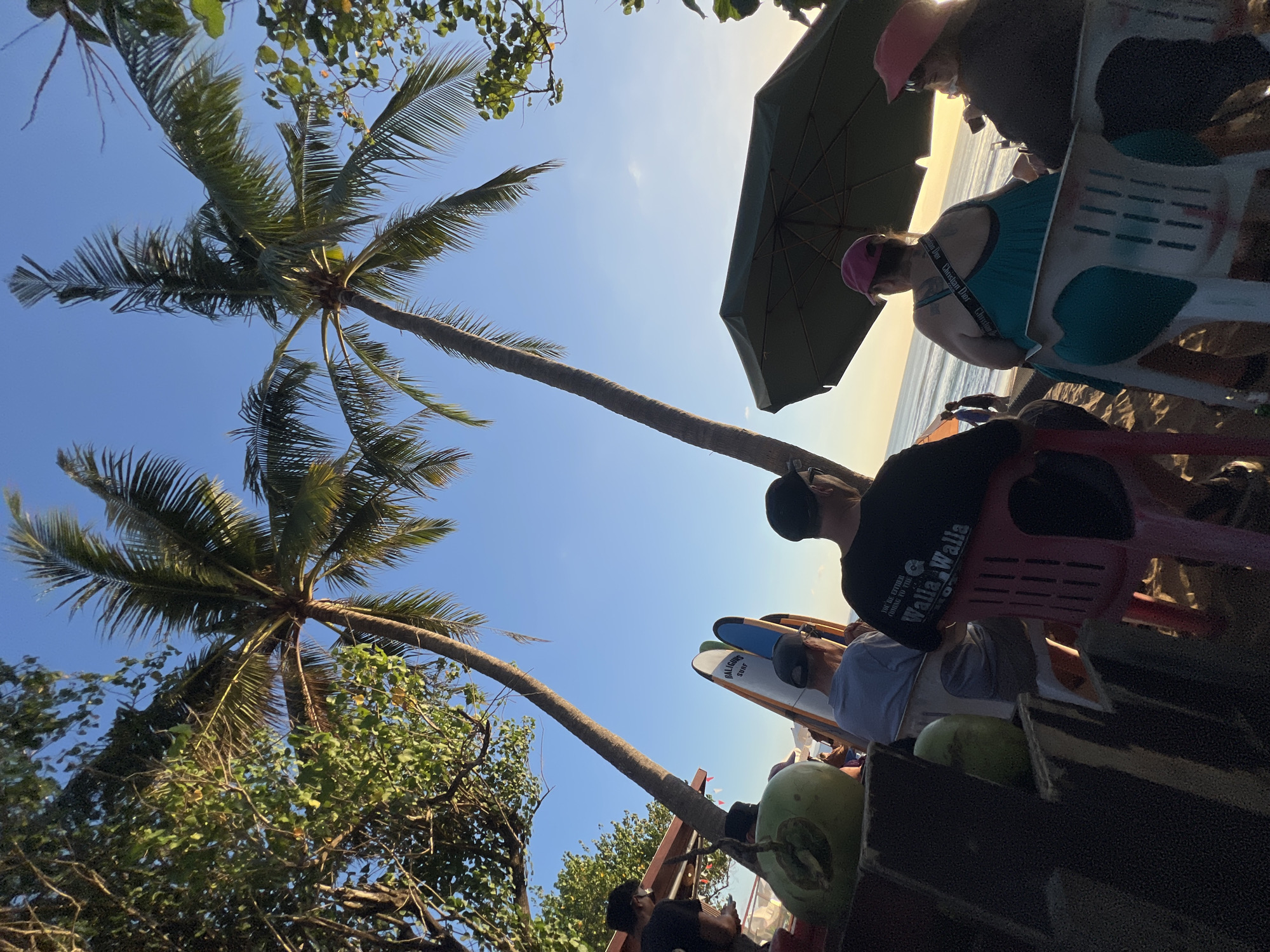 In Kuta, Indonesia, two palm trees frame a clear blue sky with the sun setting over the ocean, casting a warm glow. Several people are seated on chairs on a sandy beach, facing the water. One person wears a black t-shirt with "Walla Walla" printed on it. Another person is wearing a teal tank top and a pink hat. A large, dark green umbrella provides shade over some of the beachgoers. Surfboards are propped up nearby, indicating a popular surf spot. In the foreground, two green coconuts sit on a wooden surface. The scene appears to be a relaxed evening at a beachside establishment.