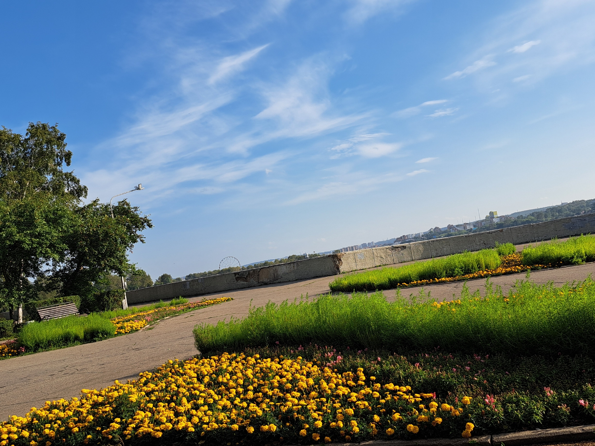 The image depicts a park area in Irkutsk, Russia, under a bright blue sky with wispy clouds. In the foreground, a paved walkway curves through a landscape adorned with vibrant yellow marigolds and other flowering plants. A dense patch of green foliage runs along the walkway. To the left, a mature tree with lush green leaves stands beside a wooden park bench, suggesting a tranquil recreational space. In the middle ground, a concrete barrier wall runs horizontally across the scene, separating the park from a distant cityscape characterized by buildings and a Ferris wheel. The overall impression is a sunny, well-maintained public park, likely situated along a riverfront or elevated viewpoint, offering scenic views of the city.