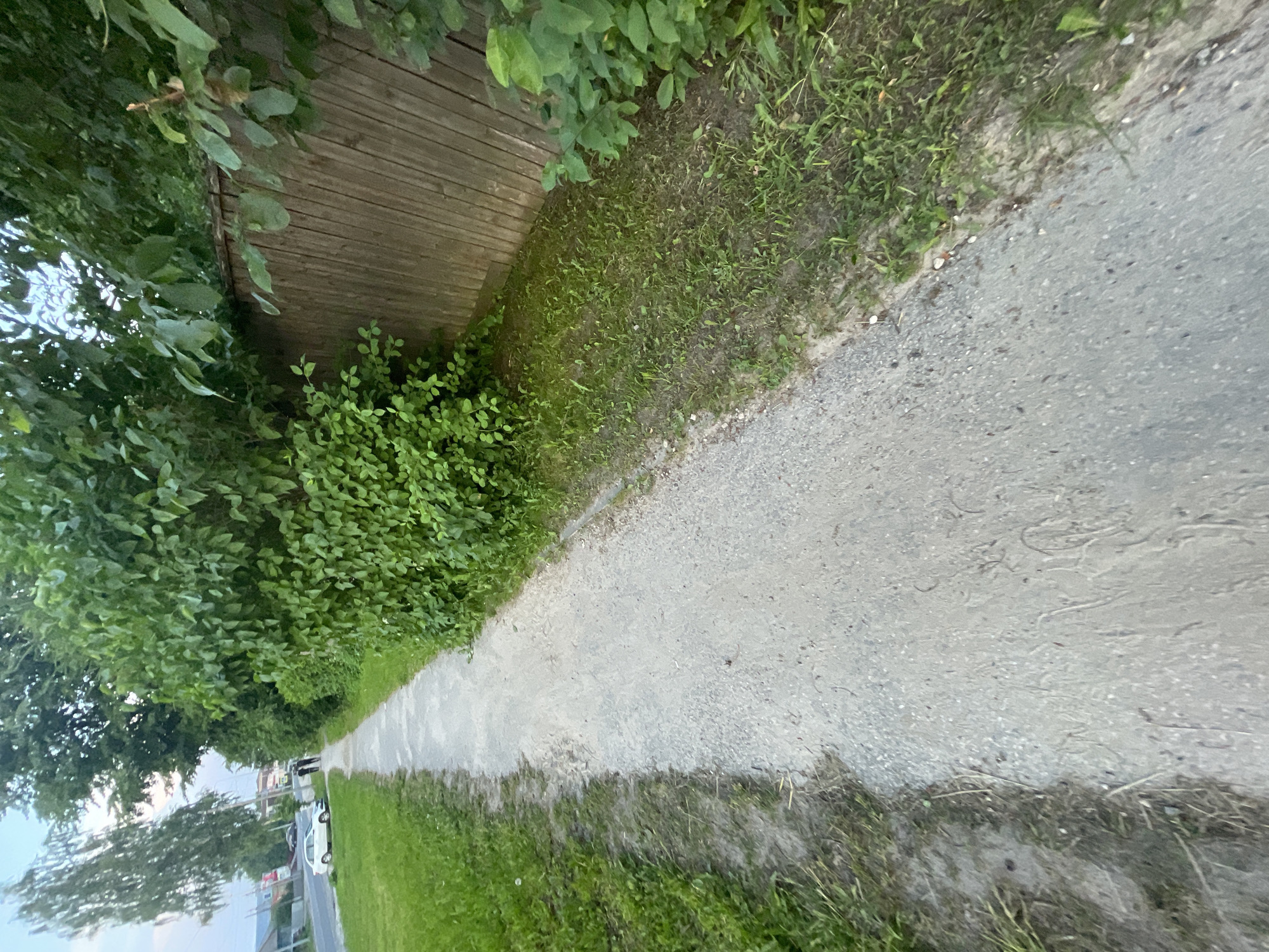 The image shows a paved walkway on the left, bordered by grass and dirt. On the right, there is a wooden fence, partially obscured by lush green foliage. In the background, a street is visible with a white car parked on the side and two individuals walking away from the camera on the sidewalk. The environment appears to be a residential area in the city of Krasnye Baki, Russia, possibly during the daytime or early evening, given the soft lighting.