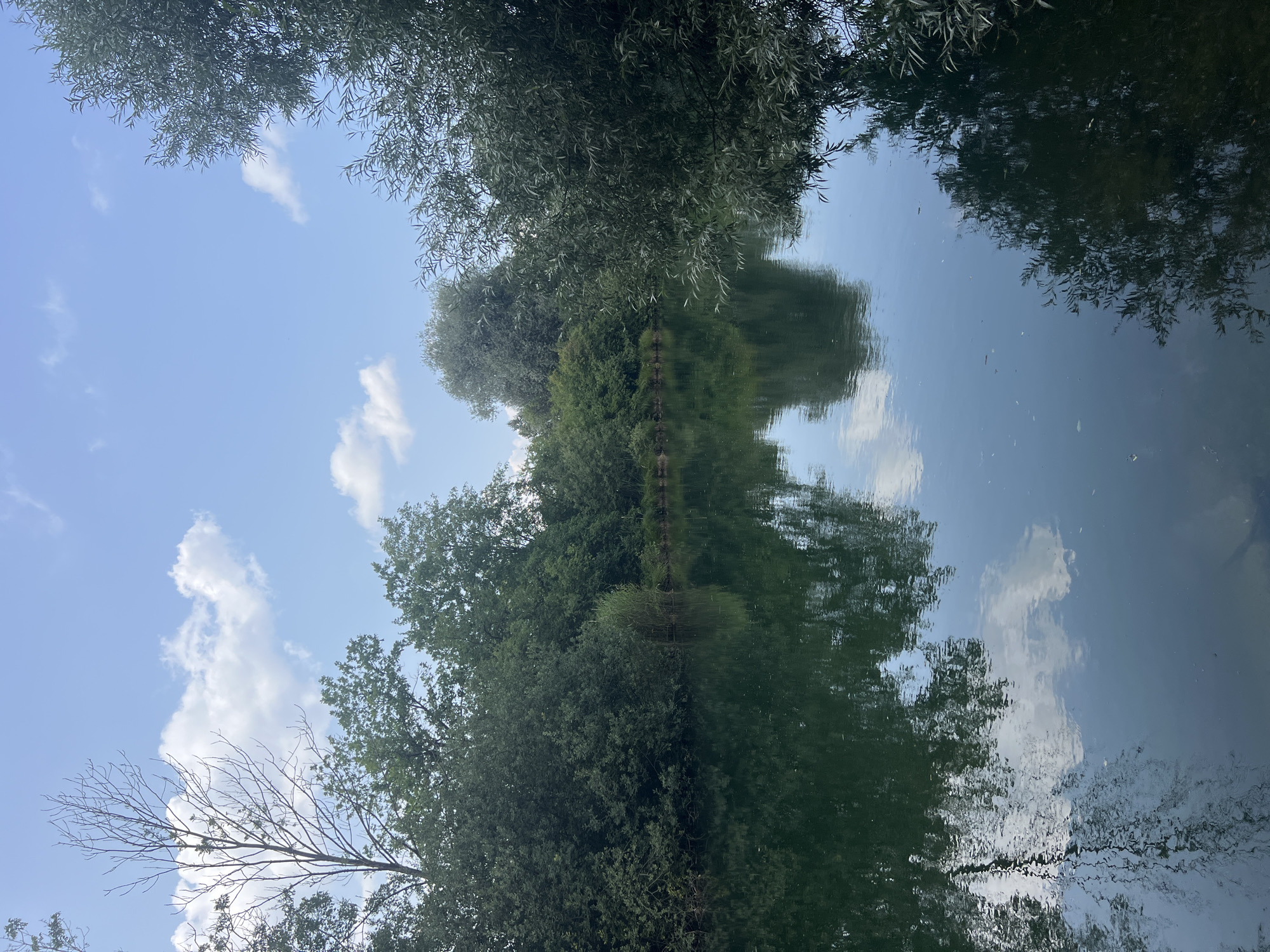 The image depicts a serene natural scene along the Isar River in Freising, Germany. The foreground is dominated by the calm, dark green water of the river, reflecting the sky and the surrounding foliage. The surface of the water shows clear reflections of clouds and trees.
The banks of the river are densely lined with lush green trees and bushes, creating a verdant backdrop. On the left side of the image, a tall, bare tree with intricate branches reaches towards the sky, contrasting with the full foliage elsewhere. The sky above is a bright blue, dotted with scattered white clouds. The overall atmosphere is tranquil and picturesque, showcasing a typical riverside landscape in the Bavarian region.