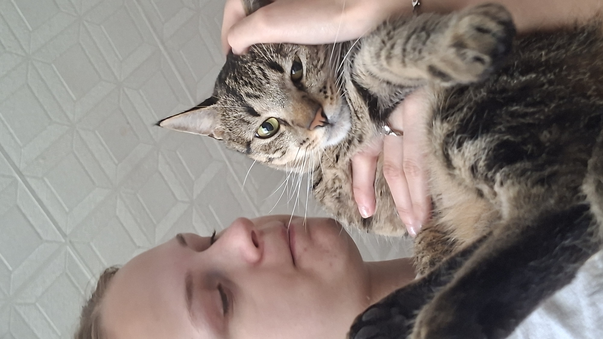 A close-up shot captures a person's head and shoulders on the left, with their face turned towards a tabby cat held in their arms. The person has fair skin and light-colored hair pulled back from their face. The cat, positioned in the center and right of the frame, has green eyes and a striped coat. The person's hands are visible, one gently stroking the cat's head and the other supporting its body. The cat wears a ring on its paw. The background consists of a textured ceiling with a geometric pattern. The scene appears to be indoors, in a residential setting in Myadzyel, Belarus.