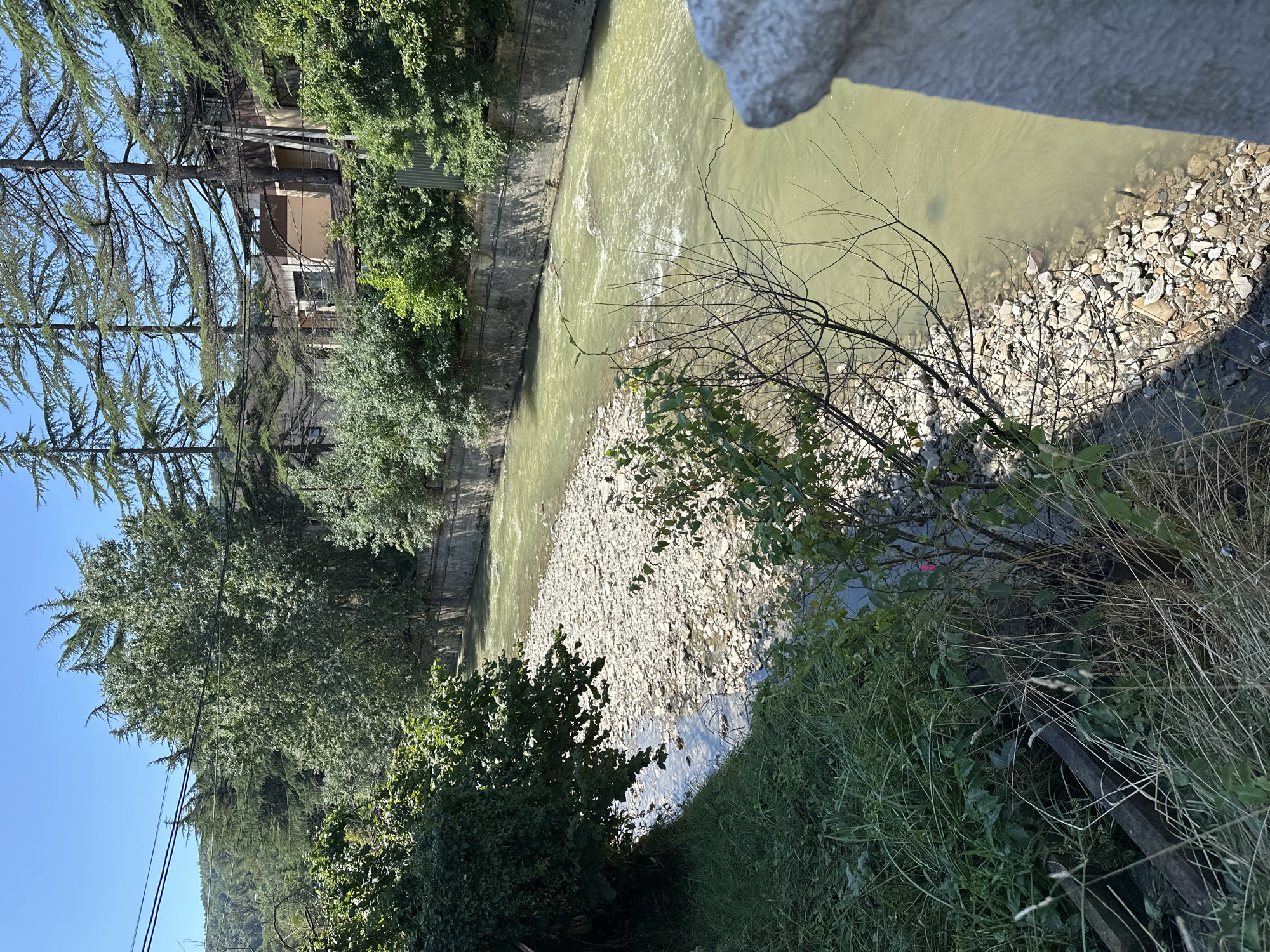 The image captures a view of the Matsesta River in Sochi, Russia, on a clear, sunny day. The river flows through a channel with concrete embankments on the right side, which are partially obscured by trees. The riverbed on the left is rocky and appears to be shallow in places, with visible stones and pebbles. Dense green foliage, including trees and bushes, lines the banks on both sides. In the background, buildings and more trees are visible on a hillside under a bright blue sky. The water in the river is a murky green color, and there are some ripples on its surface, indicating a moderate current. The overall impression is of a natural setting within an urban or semi-urban environment.