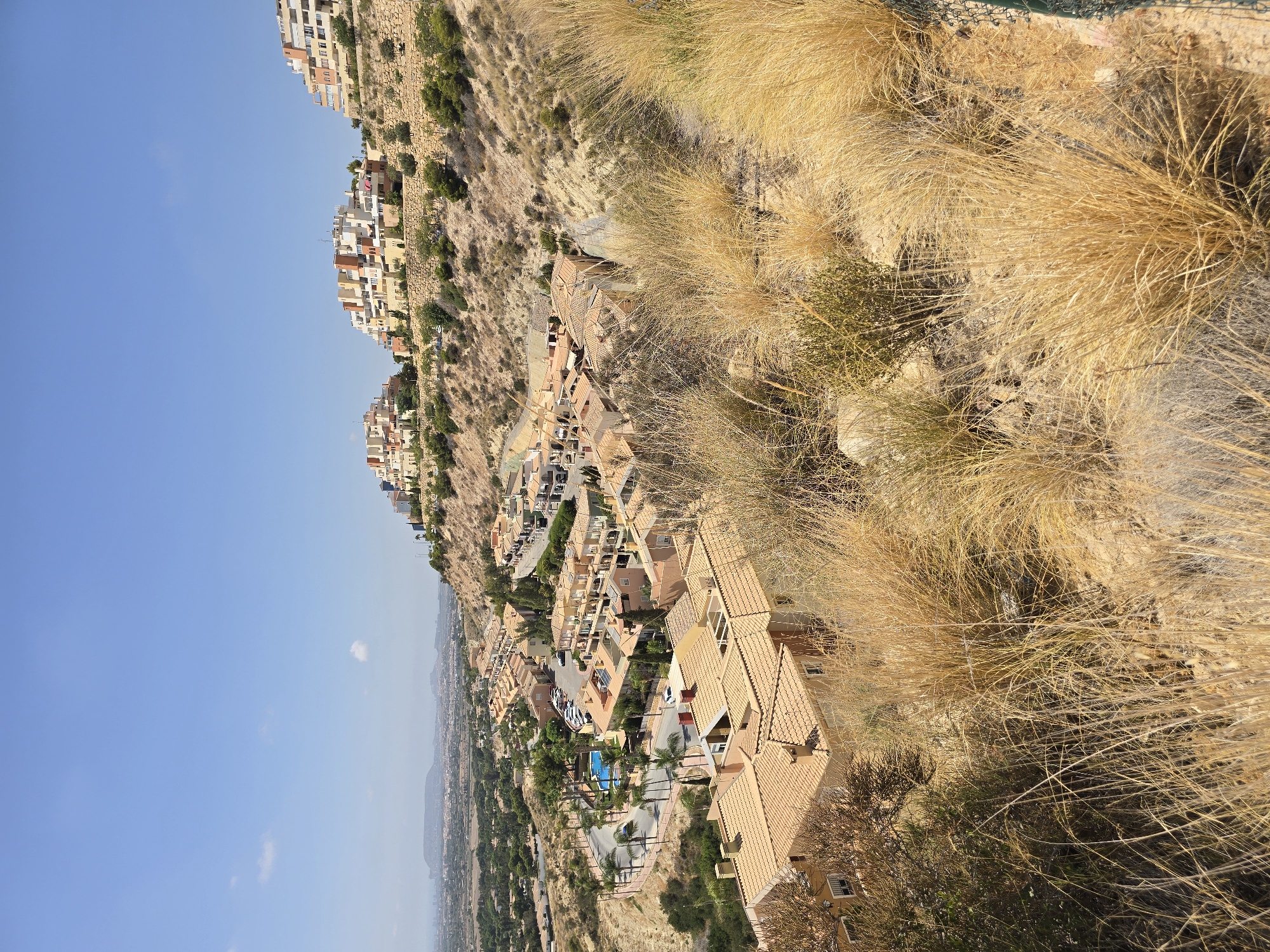 The image depicts a sun-drenched, hilly residential area in Mutxamel, Spain. In the foreground, dry, golden grass and sparse green bushes cover a steep incline. Below, a cluster of terraced houses with orange-tiled roofs are nestled into the hillside. A winding road is visible, lined with palm trees and a bright blue swimming pool. Further into the middle ground, more houses of similar architectural style, featuring light-colored facades and balconies, extend along the contours of the hill. In the background, three modern apartment buildings with stacked, irregularly shaped sections are perched on the higher ridges of the landscape, overlooking a sprawling town or city in the distance under a clear blue sky with a few wispy clouds. The overall scene conveys a sense of warm weather and a Mediterranean climate.