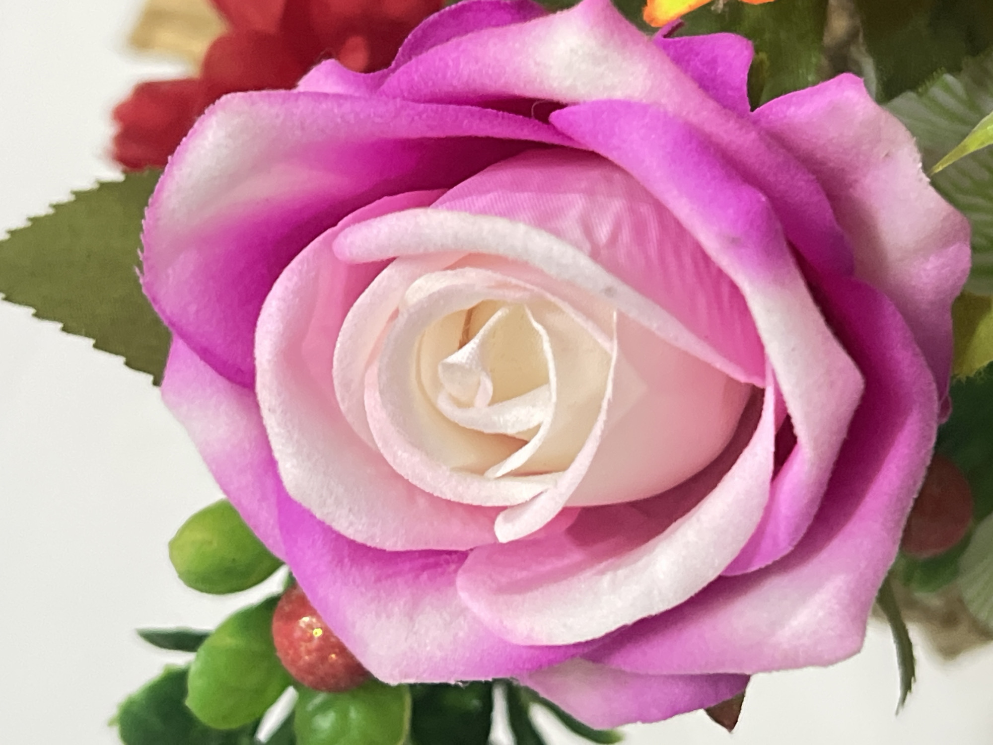 A close-up, detailed shot of a vibrant pink and white rose is captured against a softly blurred background. The rose, the primary subject, is positioned centrally, its layered petals showcasing a gradient of color from a deep fuchsia at the edges to a delicate cream at its core. The texture of the petals appears velvety, with subtle variations in light and shadow accentuating their curves. To the left of the rose, a cluster of small, bright green, oval-shaped buds and a single red, berry-like object are visible, suggesting a decorative arrangement. Further to the right, hints of other floral elements in red and yellow emerge from the blur. The overall impression is one of artificial floral arrangement, likely a decorative piece. The image lacks any context relating to Denpasar, Indonesia; it appears to be a generic still life of a flower.