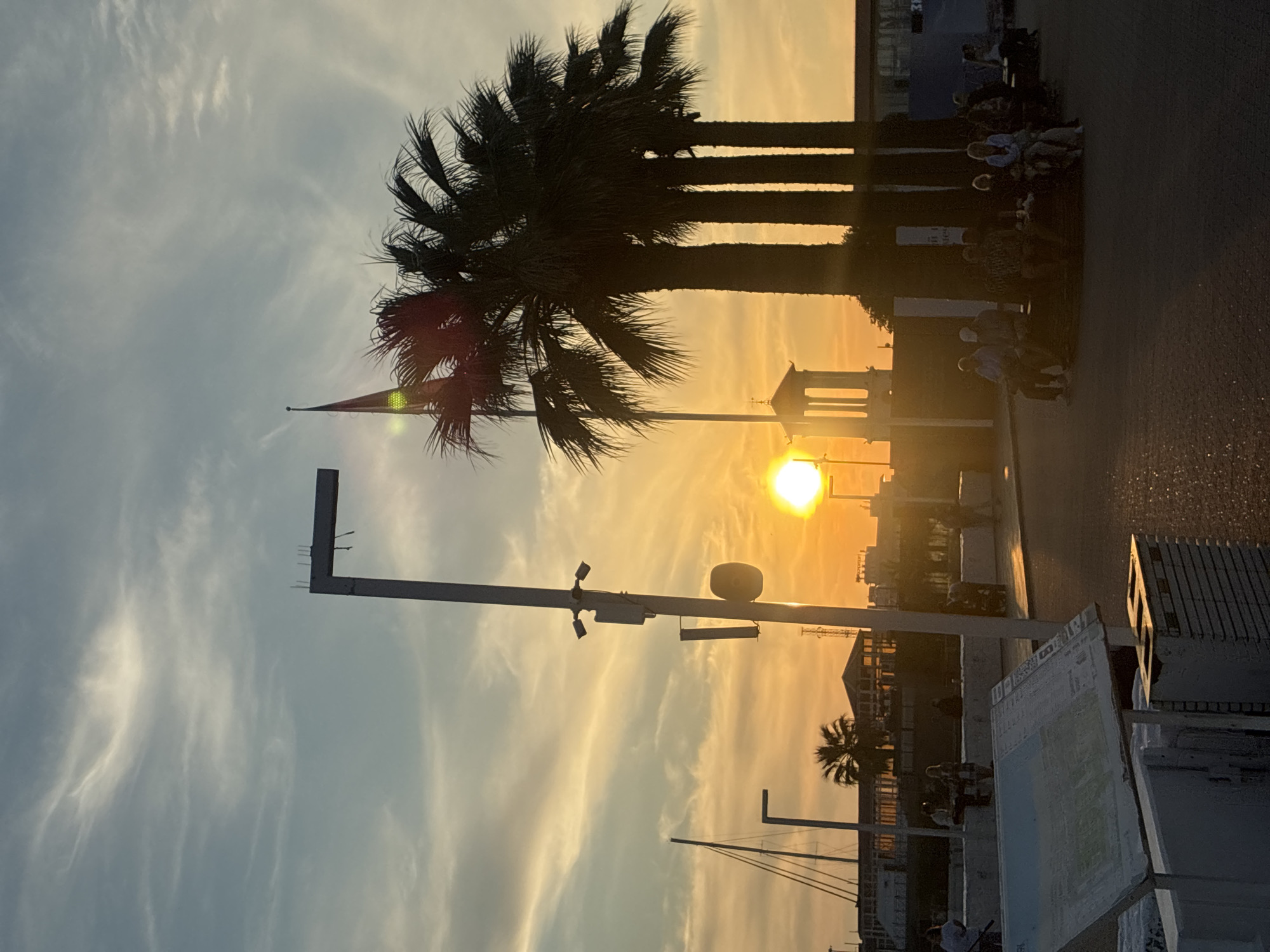 The image depicts an outdoor urban waterfront scene at sunset or sunrise, located on the promenade near the Sochi Seaport (Морской вокзал Сочи) in Sochi, Russia.
The sun, a brilliant, overexposed yellow-orange orb, is positioned low on the horizon, slightly right of the image center, casting strong backlighting across the scene. The sky exhibits a gradient of blue, pale orange, and yellow hues with scattered, wispy clouds.
In the immediate foreground, bottom-left, a white, angled information board or map stand is visible, partially obscuring a white concrete barrier. To the right of this, a tall, grey metal pole extends vertically, equipped with at least two security cameras mounted near the top, a rectangular communication device, and a circular speaker or sensor lower down.
Midground elements include a cluster of four tall palm trees, silhouetted against the bright light source. To the left of the palm trees, a classical-style white rotunda with visible columns is silhouetted. A tall flagpole stands to the left of the rotunda, displaying a flag with horizontal stripes, consistent in appearance with the national flag of Russia, though specific colors are muted by the backlighting.
Multiple individuals are distributed across the midground and background, seated on benches or concrete ledges. Their figures are mostly rendered as dark silhouettes due to the strong backlighting, obscuring specific facial features or detailed actions. They appear to be observing the sunset.
In the far background, on the left, several masts of sailboats or yachts are visible, indicating the presence of a marina or port. Various buildings line the distant horizon, with one structure exhibiting reflective window surfaces. The ground surface in the foreground and midground is paved, possibly asphalt or concrete, showing subtle reflections of the ambient light.