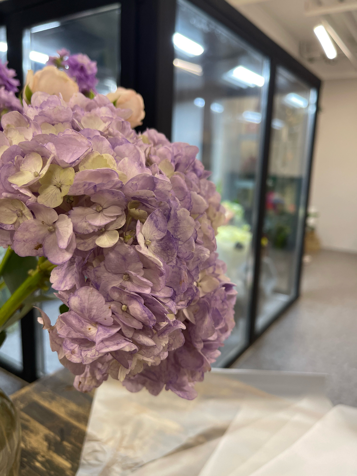 The image shows a close-up of a cluster of purple hydrangeas in the foreground. The flowers are in focus, with soft, delicate petals exhibiting variations of purple and white. Behind the flowers, there is a blurry background of a commercial space, likely a flower shop, with glass partitions and bright fluorescent lighting. The overall lighting is soft and diffused. The floor appears to be made of a light-colored material, possibly concrete or tile. In the foreground, a textured wooden surface is visible to the left, and white wrapping paper lies on a surface to the right. There are no people visible in the image. The location is identified as the city of Kommunarka, Russia.