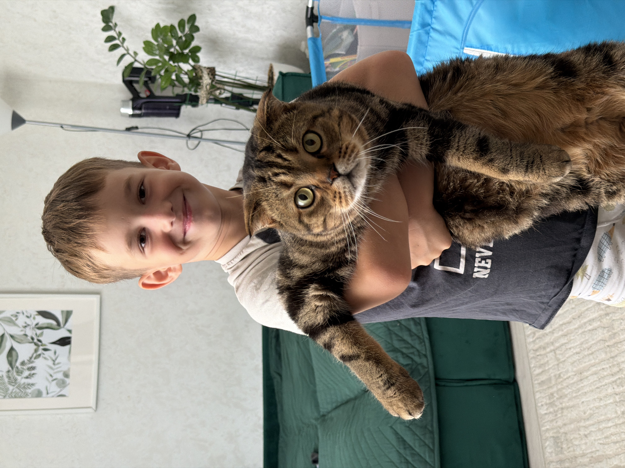 A young boy with short brown hair and a wide smile is holding a tabby cat in his arms. He is wearing a gray t-shirt with a black graphic and patterned pajama bottoms. The cat has green eyes and is looking at the camera. The background appears to be an indoor setting with a green couch, a floor lamp, a plant, and a framed picture on the wall.