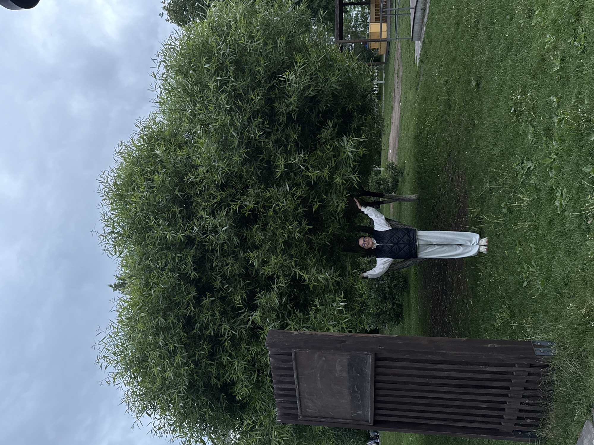 The image displays an outdoor scene in a public park under an overcast sky. In the foreground, a large, dense tree with numerous narrow, light green leaves dominates the central and upper portions of the frame. Standing beneath the tree's canopy is an individual, seen from the waist up. The individual wears spectacles, a white long-sleeved top, a black sleeveless puffer vest, and light-colored loose-fitting pants. Their arms are extended laterally, hands positioned approximately at shoulder height with palms slightly upward. The person exhibits a mild smile.
To the left of the frame stands a tall, dark brown wooden structure composed of vertical slats. A dark, rectangular panel, indistinct and possibly weathered or graffitied, is set into its upper section. The base of the structure features visible metal brackets or fastenings.
The ground is covered with green grass, intermingled with various weeds and some patches of exposed soil. A dirt path curves behind the person, leading towards the right side of the background. In the background on the right, a yellow, multi-component structure, possibly a playground amenity or small pavilion, is visible, partially obscured by trees. The sky is uniformly grey with clouds, indicating diffuse lighting. The precise location within Izhevsk, Russia, such as a specific park name, cannot be determined from the visual evidence alone.