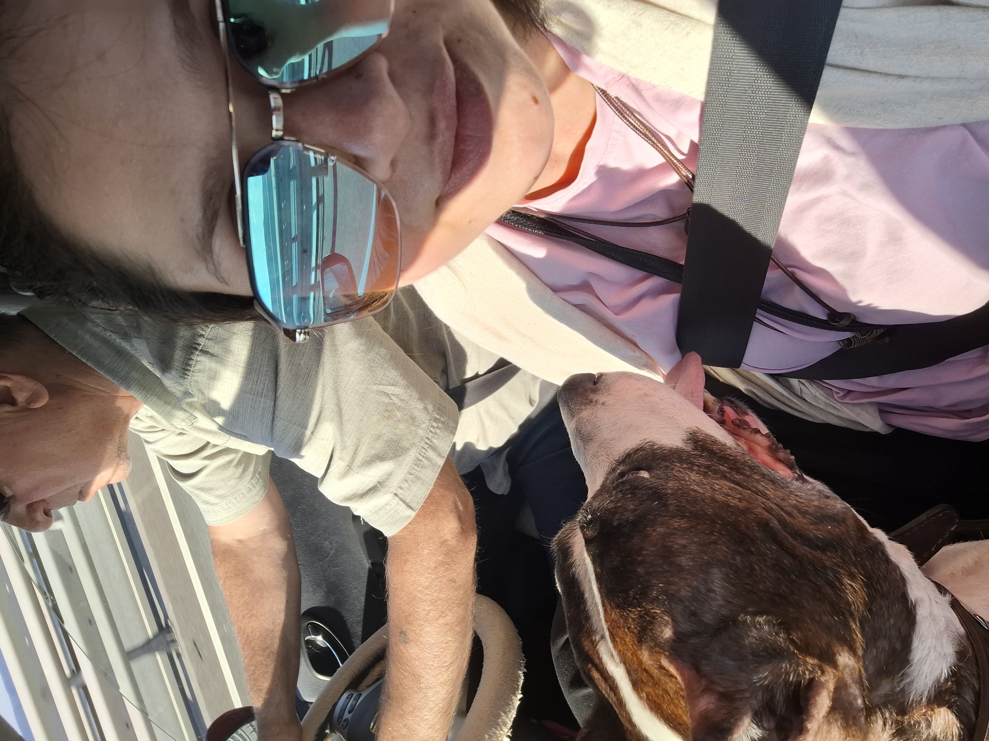 This image depicts three subjects inside a vehicle, with a focus on a woman in the foreground wearing sunglasses and a pink shirt, a man driving in the background, and a dog in the lower left corner. The woman is taking a selfie, with her face and upper body visible. The driver, a man with graying hair, is looking ahead and his arm is on the steering wheel. The dog, a brown and white pit bull mix, is looking towards the woman. The interior of the car is visible, including parts of the dashboard and steering wheel. The background, seen through the car's windows, suggests an outdoor environment with some form of elevated structure. There are no specific visual cues in the image that allow for the identification of the location as Klimovka, Russia.