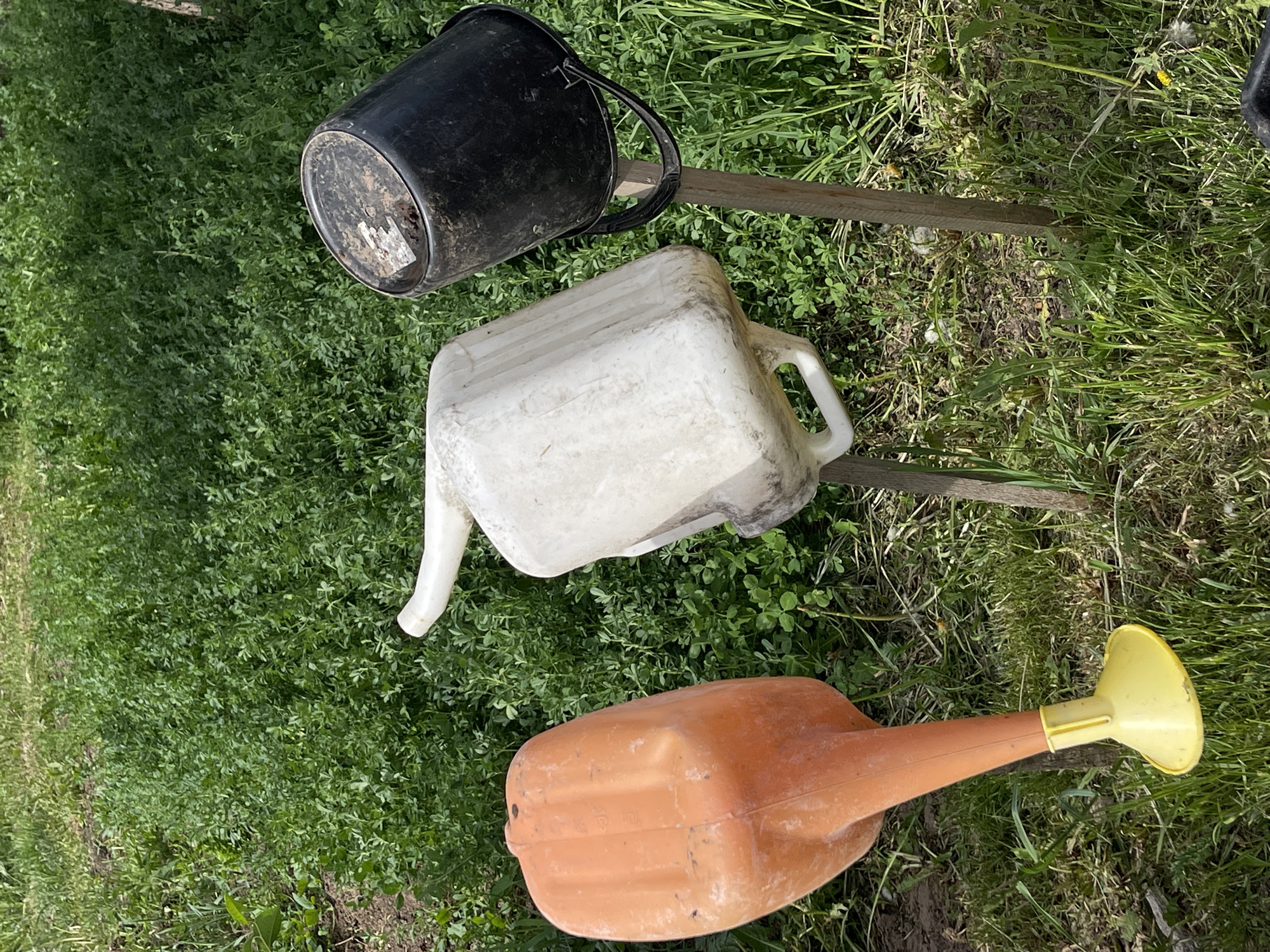 The image depicts a grassy area in Перевозное, Russia, where three containers are resting. A black bucket, bearing a label, lies near a weathered wooden plank. Adjacent to the bucket is a white, plastic watering can with a spout, also positioned atop the wooden plank. Below these, an orange, plastic watering can with a yellow nozzle is situated directly on the grass. The scene is indicative of a rural or agricultural setting.