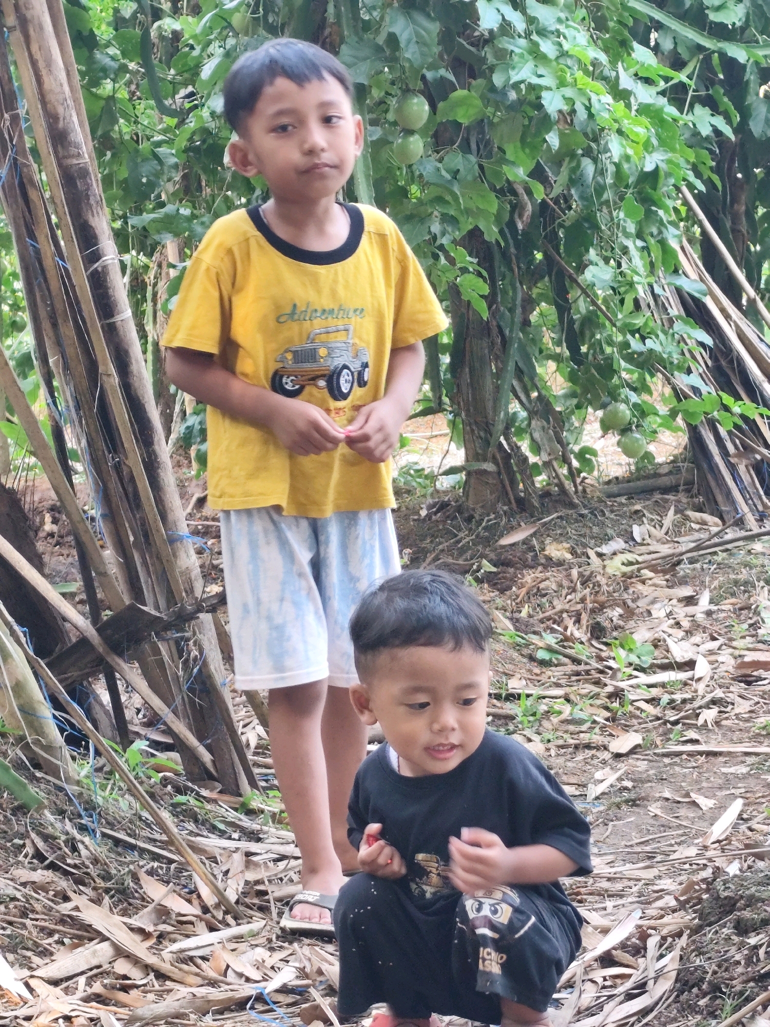 In the rural outskirts of Jambewangi, Indonesia, two young boys are captured in a candid outdoor portrait. The elder boy, standing tall, wears a bright yellow t-shirt adorned with a graphic of a Jeep and the word "Adventure." His lower half is clad in light blue and white patterned shorts. He holds a small, red object in his right hand. Beside him, the younger boy is in a crouching position, dressed in a black t-shirt with a cartoon character graphic on the left leg of his black shorts. He appears to be examining something in his hands. The background is a lush, green environment, with dense foliage and trees, some bearing round, green fruits. Scattered around the ground are dry leaves and debris, suggesting a natural, unmanicured setting. A rustic wooden structure made of bamboo poles is visible on the left side of the frame, adding to the rustic charm of the scene. The ground is composed of dirt and dry organic matter.