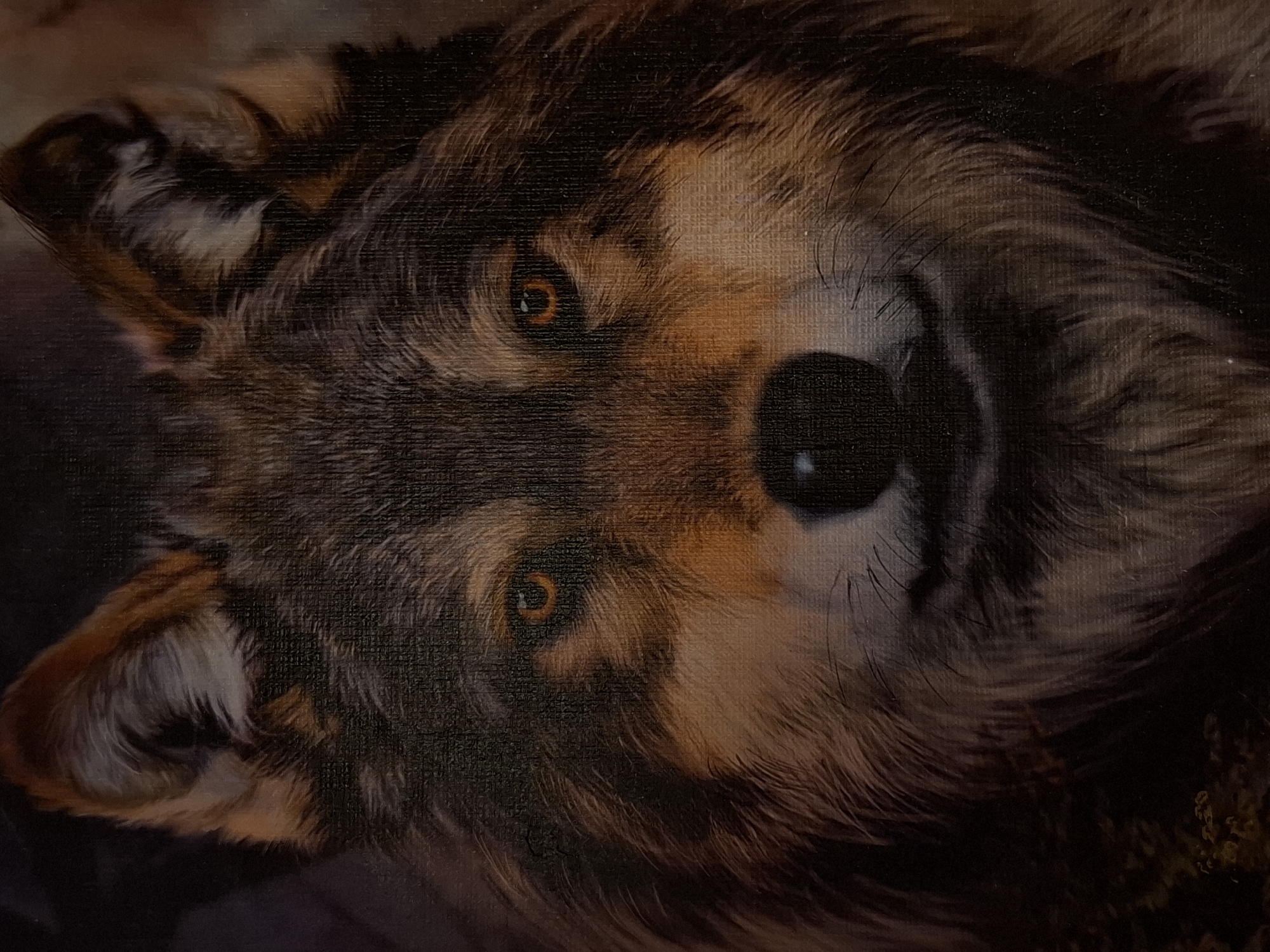 The image is a close-up portrait of a wolf, painted in a realistic style. The wolf's fur is rendered with intricate detail, showcasing variations in brown, black, and white tones. Its eyes are a striking amber color and appear to be looking directly at the viewer. The background is dark and indistinct, putting the focus entirely on the wolf's face. There is no indication of a specific location in Zemun Urban Municipality, Serbia, or any human presence in the image.