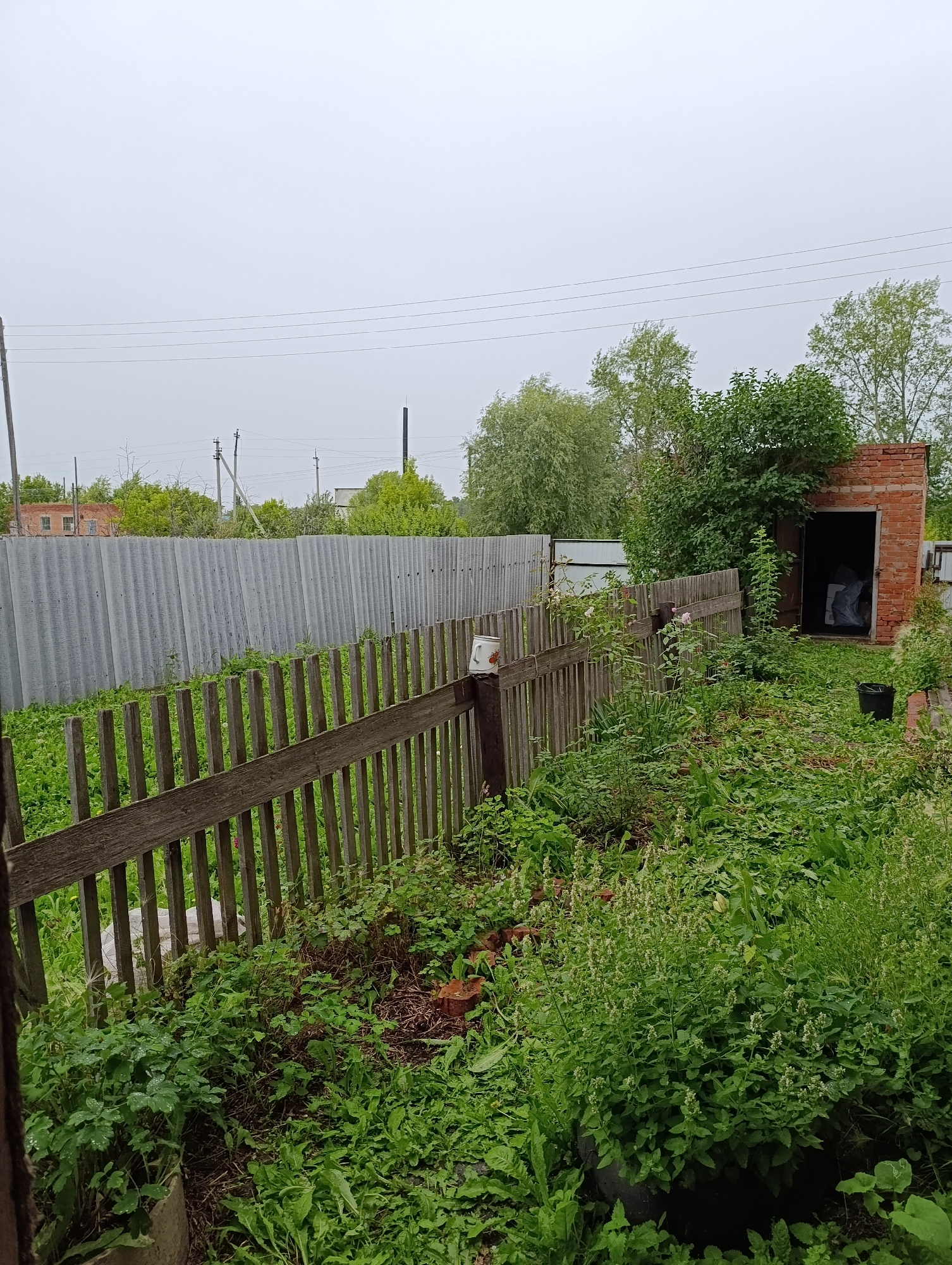 The image depicts an overgrown backyard with a wooden picket fence in the foreground. Behind the fence, a tall corrugated metal fence runs horizontally across the scene. To the right, there is a small, dilapidated brick building with an open doorway. Various plants and weeds are growing abundantly throughout the yard. The sky is overcast and gray, suggesting a cloudy day. The location is identified as Novoseletsk, Russia.