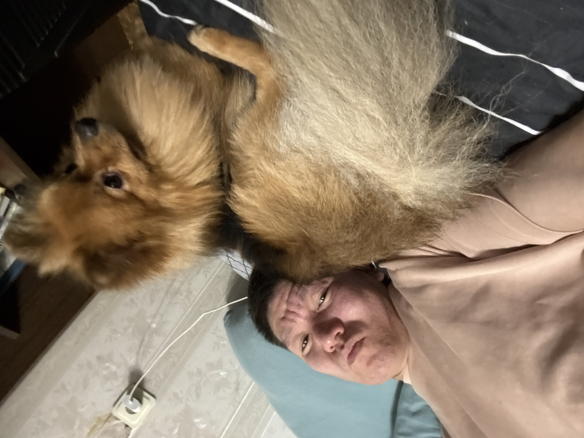 A person with short dark hair and a neutral expression lies on a light blue pillow in bed. They are wearing a light pink t-shirt. A small, fluffy tan Pomeranian dog lies on top of the person, its body covering the person's chest and torso. The dog's head is turned to the right, looking slightly away from the camera. The background shows a light-colored patterned wallpaper with a white electrical outlet and cord visible on the left. The bedding beneath the dog is black with white stripes. The overall setting appears to be a bedroom. The image was taken in Khimki, Russia.