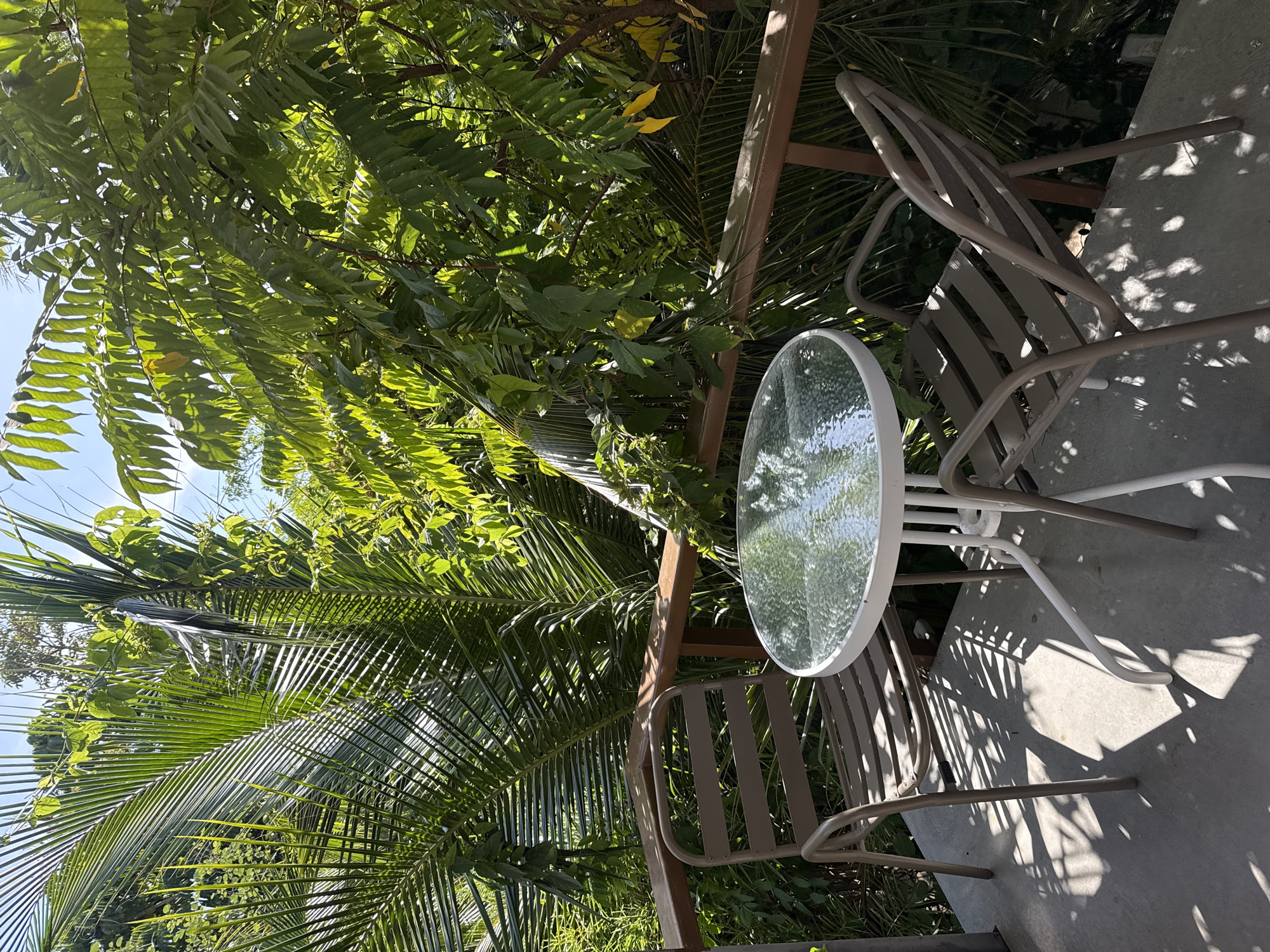 A circular glass-top table with a white base and two brown metal chairs with slatted seats and backs are on a concrete patio. The patio is surrounded by a wooden railing and lush green foliage, including palm fronds and leafy trees. The scene is illuminated by bright sunlight, casting dappled shadows on the patio floor. The background is filled with dense tropical vegetation. The location is a balcony or patio in a tropical setting.