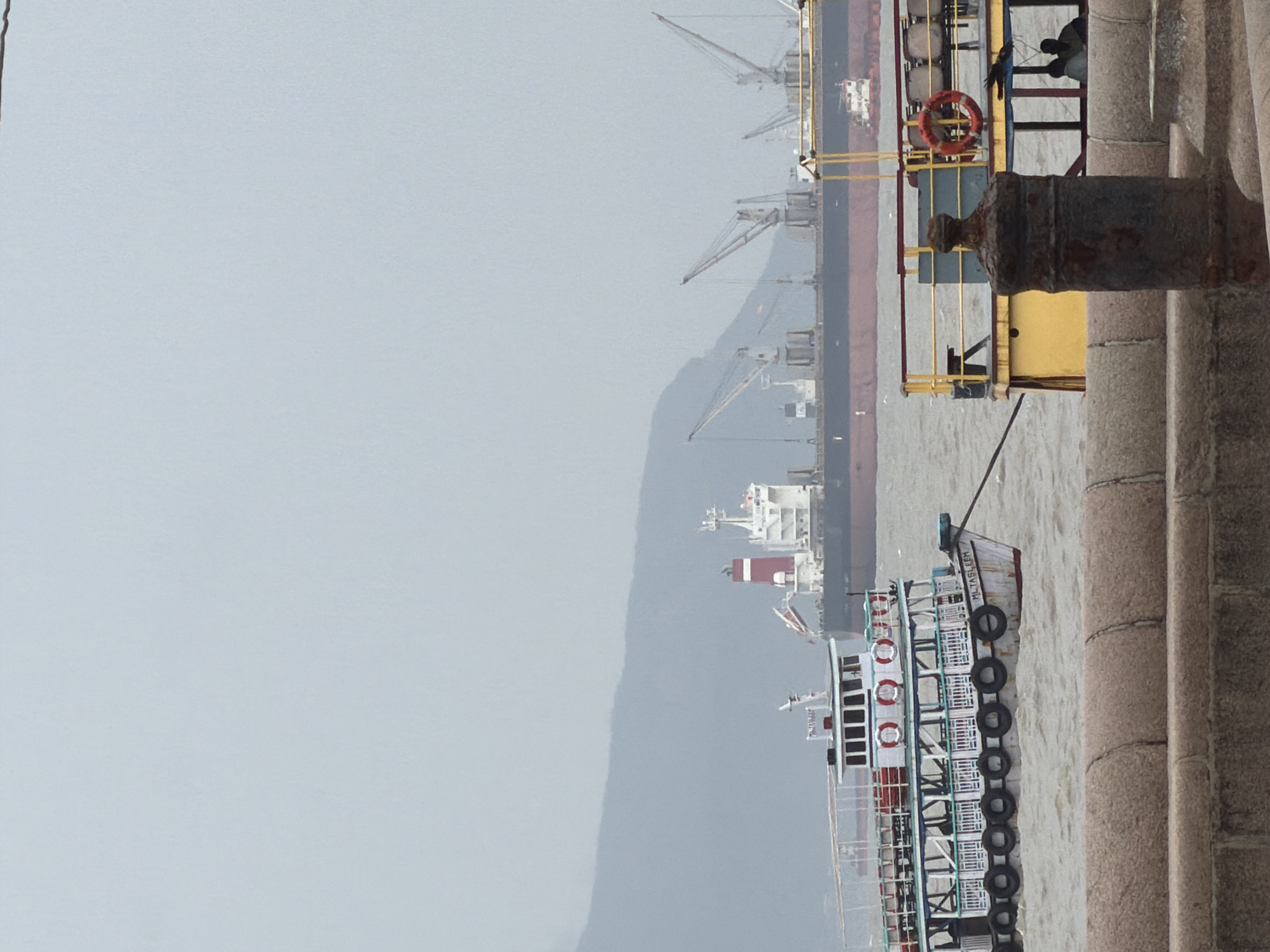 The image depicts a hazy, overcast day at the Mumbai harbor. In the foreground, a weathered, stone embankment lines the waterfront. Beyond it, a white passenger ferry, named "ML TASLEEM" is visible, bobbing on choppy, grey water. The ferry has a white upper deck with windows and railings, and its hull is adorned with black tires acting as fenders. Behind the ferry, a large cargo ship with a red and white superstructure dominates the mid-ground, equipped with multiple cranes. Further in the distance, hazy hills form the backdrop, suggesting a coastal or island location within Mumbai. The overall scene conveys a sense of maritime activity, typical of the bustling port city.