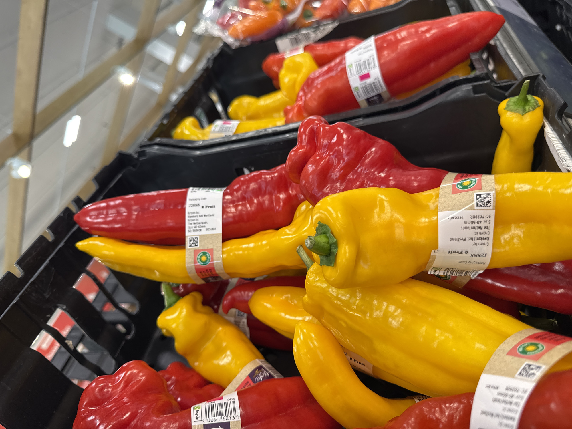 This media file captures a close-up, eye-level view of a display of red and yellow bell peppers in a supermarket produce section. The peppers are arranged in black plastic crates, with some wrapped in paper bands bearing text and barcodes. The lighting suggests an indoor environment, likely a retail setting with overhead fluorescent lights visible in the blurred background, which also shows hints of wooden beams.
The primary subjects are the vibrant red and yellow bell peppers, presented in abundance. Some peppers are smooth and elongated, while others are more bulbous and have creased surfaces. The focus is on the textures and colors of the produce.
The scene depicts a typical retail display of fresh vegetables. There are no people visible in the frame. The overall mood is clean and organized, highlighting the freshness of the produce.
Notable details include the packaging bands which provide information about the peppers. Visible text on these bands includes "Packaging Code J2906S", "Grown by: Kwekerij hel Westland", "Grown in: The Netherlands", and "Size: 40-60mm". There are also barcode-like patterns and what appear to be expiration dates or batch codes like "04.25" and "HD1836". The presence of these labels indicates that the peppers are commercially grown and packaged.
The location context provided is London, United Kingdom, suggesting this is a scene from a grocery store in that city. The time of day is indeterminate, but the consistent artificial lighting suggests it could be any time. There is no indication of weather conditions.