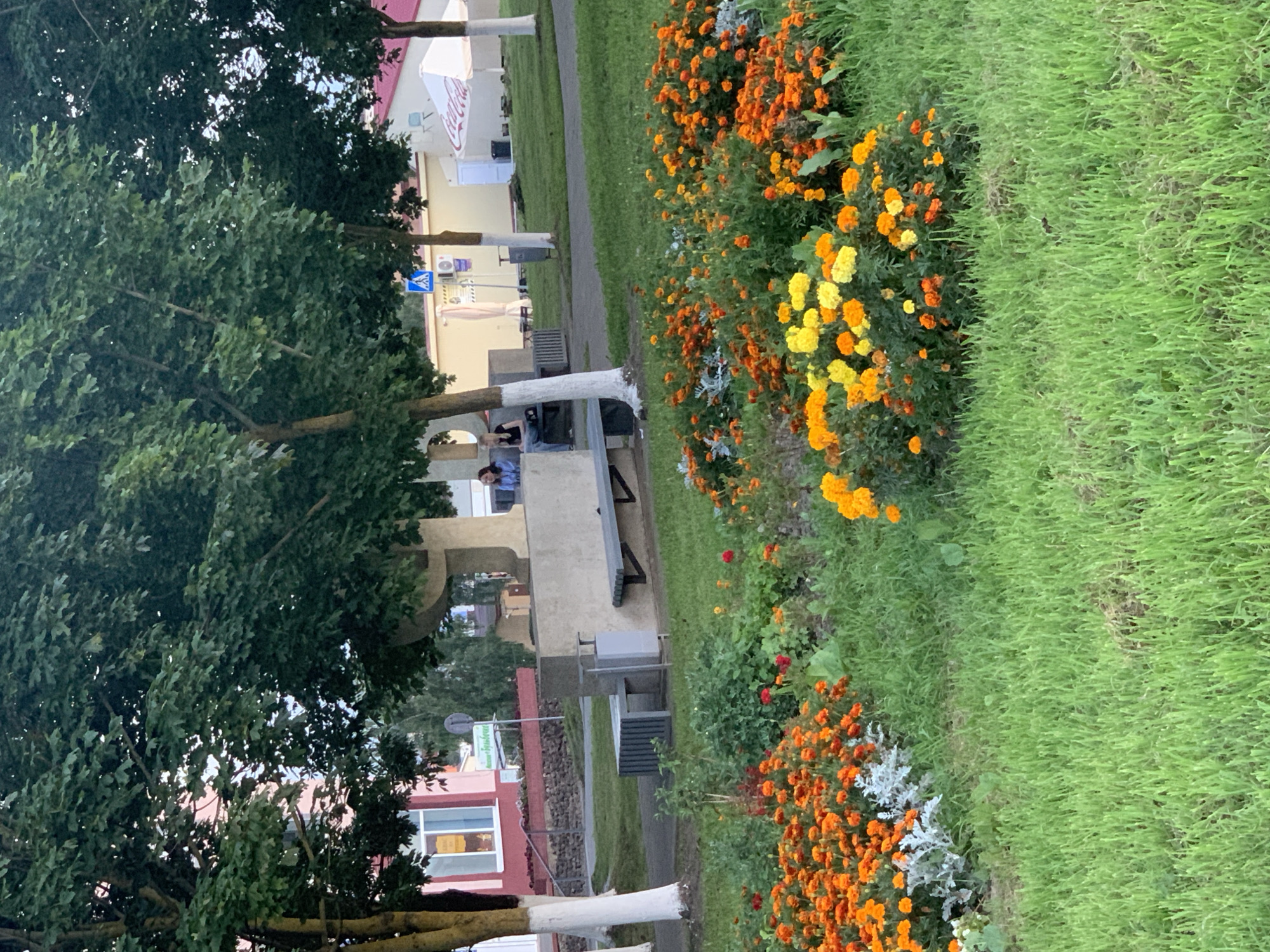 The image depicts a view of a public park in Kapyĺ, Belarus, featuring a lush green lawn in the foreground with a vibrant flowerbed of orange and yellow marigolds. In the middle ground, a paved path separates the flowerbed from a concrete structure with a bench and a trash can. Two young women are seated on a bench in the background, appearing to converse. Beyond them, trees with white-painted trunks line the area, and a building with a pink facade and a white roof is visible. A Coca-Cola branded umbrella stands on the lawn. The scene is bathed in natural light, suggesting it was taken during daylight hours.