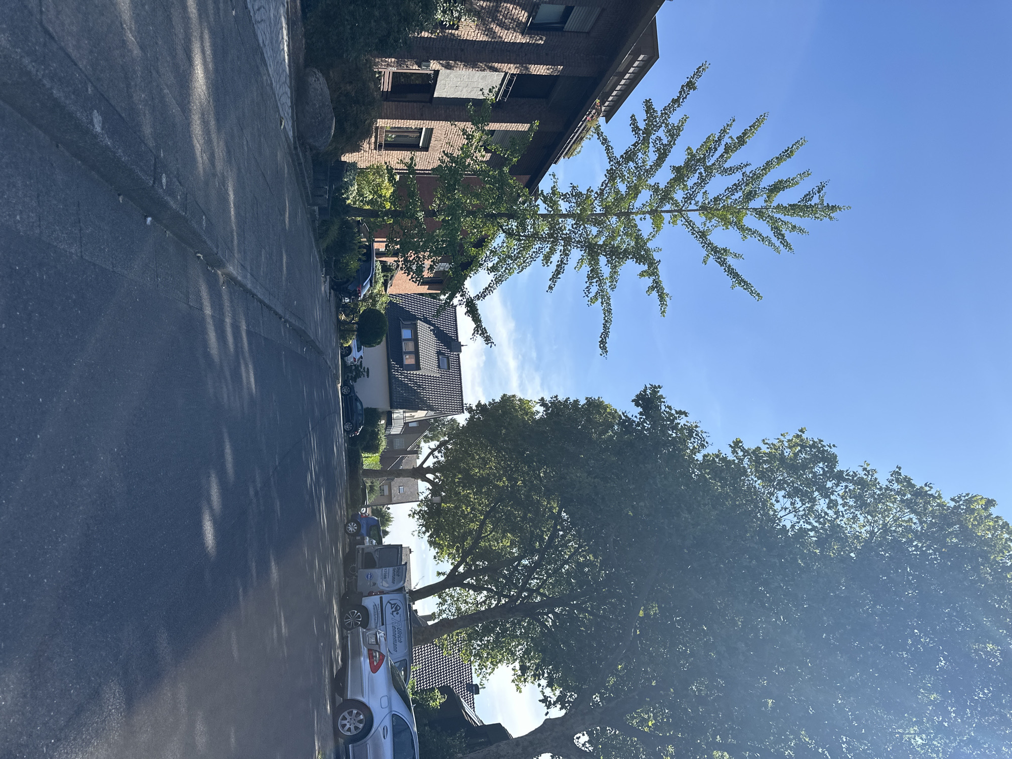 The image depicts a street scene in Krefeld, Germany, on a sunny day with a clear blue sky and scattered clouds. The foreground is dominated by a residential street with a paved asphalt road and a concrete sidewalk. Lush green trees line the street, casting dappled shadows on the road.
On the left side of the street, a multi-story brick building with windows and balconies is visible. Adjacent to it, a young, slender tree with sparse foliage stands tall. Further down the street, other residential buildings with tiled roofs can be seen.
Several parked vehicles are present, including a silver Mercedes sedan, a dark blue hatchback, and a white van with lettering that appears to be related to a business, possibly a plumbing or heating service, indicated by the partial text "Ulrich Hermann Sanitär Heizung."
The environment appears to be a quiet residential neighborhood, possibly in the Uerdingen district of Krefeld, given the architectural style of the buildings and the presence of mature trees. No people are visible in the image.
