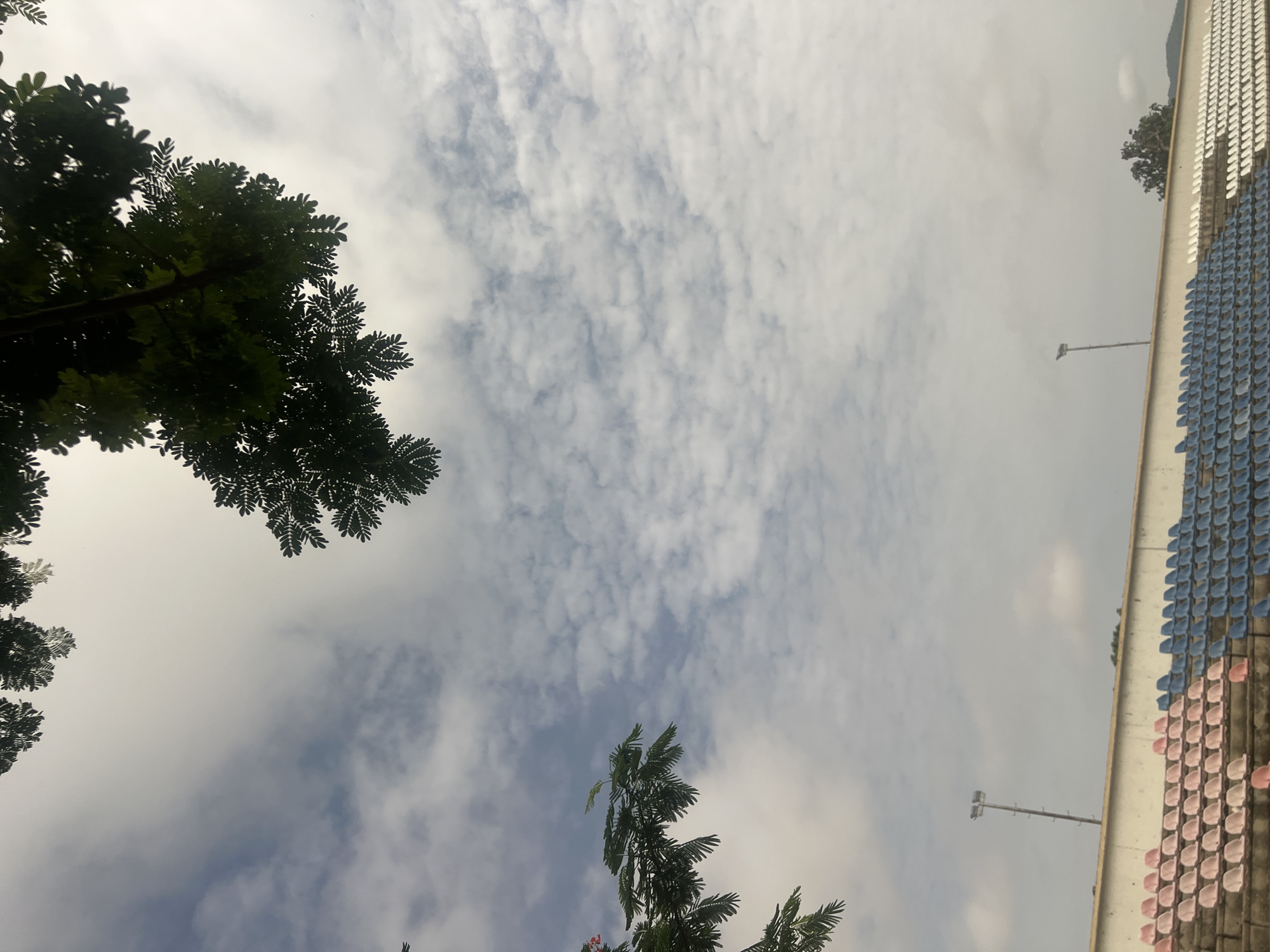 The image shows a view looking up from a position near a seating area, potentially a stadium, in Jalingo, Nigeria. The sky is filled with altocumulus clouds. There are trees on the left and at the bottom of the frame. On the right is the side of what appears to be a stadium structure with rows of blue and pink seats. A light pole is visible near the stadium.