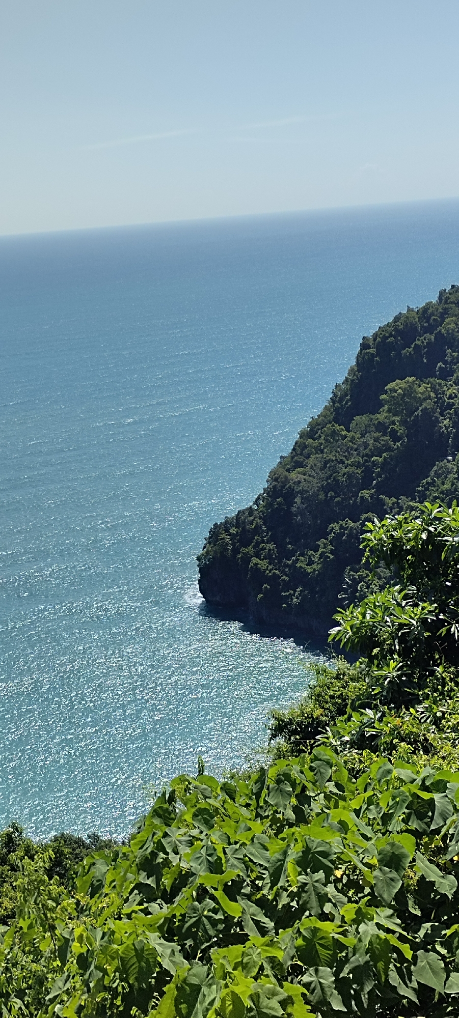 The image depicts a scenic view of a tropical coastline on a bright, sunny day. The foreground is dominated by lush, vibrant green foliage, suggesting dense vegetation. Behind the foliage, a steep, tree-covered hillside juts out into the ocean. The ocean itself is a brilliant turquoise, sparkling with sunlight, and appears calm with gentle ripples. The horizon line is clear, with a pale blue sky overhead, devoid of any clouds. The scene evokes a sense of natural beauty and tranquility.