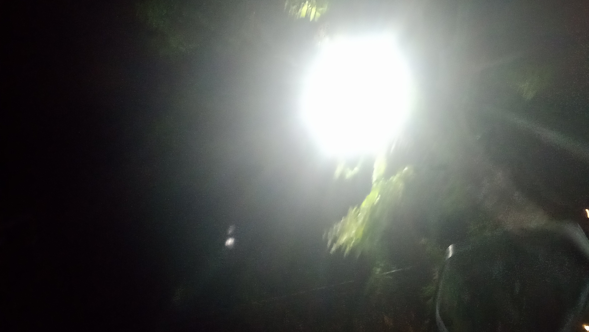 The image depicts a dark outdoor scene, likely at night, illuminated by a bright, possibly street light, in Kuta, Indonesia. The light source is in the upper right quadrant, casting a strong glare that washes out details in its immediate vicinity. The foreground is predominantly black, with faint hints of foliage and possibly trees on the right side, appearing green and blurred due to motion or low light. There are some indistinct shapes in the darkness, including what appears to be a dark, possibly rounded object in the lower right, and a faint, elongated white object to the left of the central light source. The overall impression is of a dimly lit, possibly natural environment with artificial lighting overwhelming the scene.