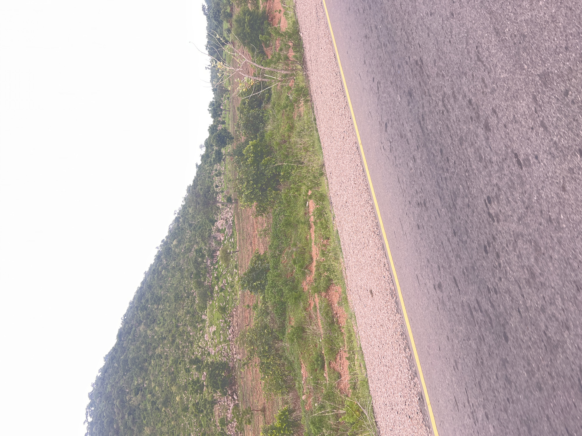 The media file depicts a roadside view in Minda, Nigeria. The scene is dominated by a paved road on the right side, marked with a yellow line. To the left of the road, there is a sloping hillside covered with lush green vegetation, including trees and grass. Patches of reddish-brown soil are visible amidst the greenery, suggesting agricultural activity or natural terrain. A few bare branches of a tree are also present. The sky on the far left appears bright and overcast. The overall impression is of a rural or semi-rural environment, possibly during daylight hours, with a natural landscape adjacent to a road. There is no visible text or discernible activity taking place.