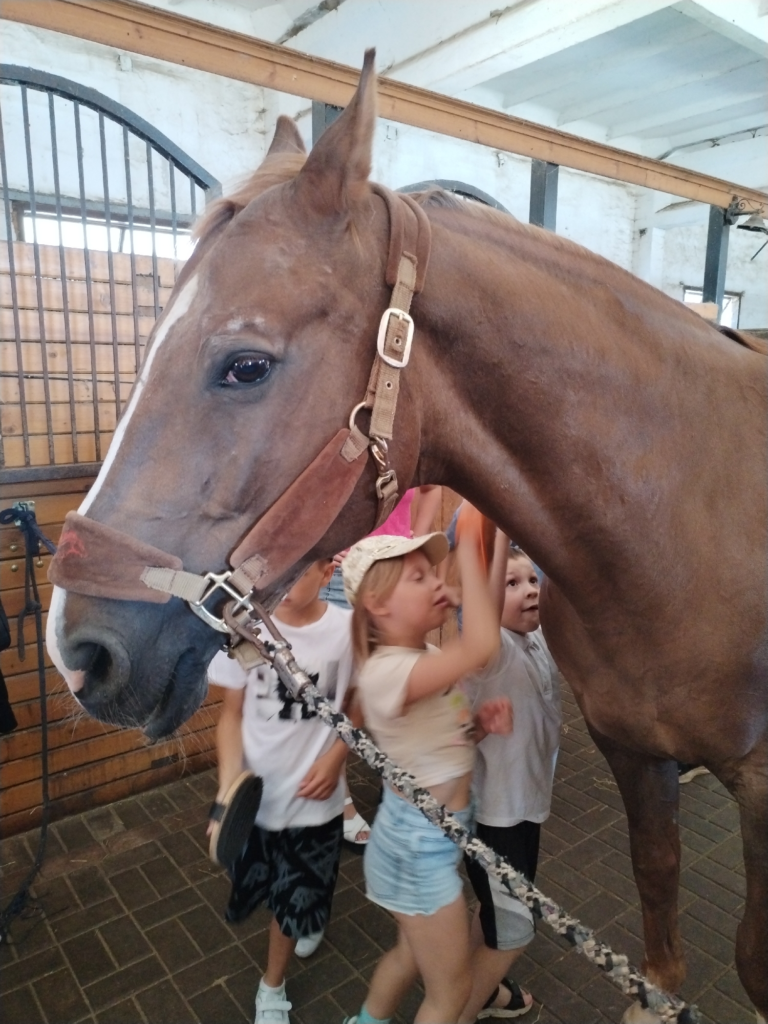 The image depicts a close-up of a brown horse's head and neck, positioned within a stable. A young girl in a light-colored t-shirt and denim shorts is reaching towards the horse, holding an orange object, possibly a carrot or a toy. She is wearing a light-colored baseball cap. To her right, a young boy in a light blue shirt and grey shorts is looking at the horse with a curious expression. Other children are partially visible in the background. The horse is wearing a halter and bridle. The environment appears to be a stable with wooden walls and a tiled floor. The lighting suggests an indoor setting, possibly during daylight hours. The location is identified as Хідрынскі сельскі Савет, Belarus.