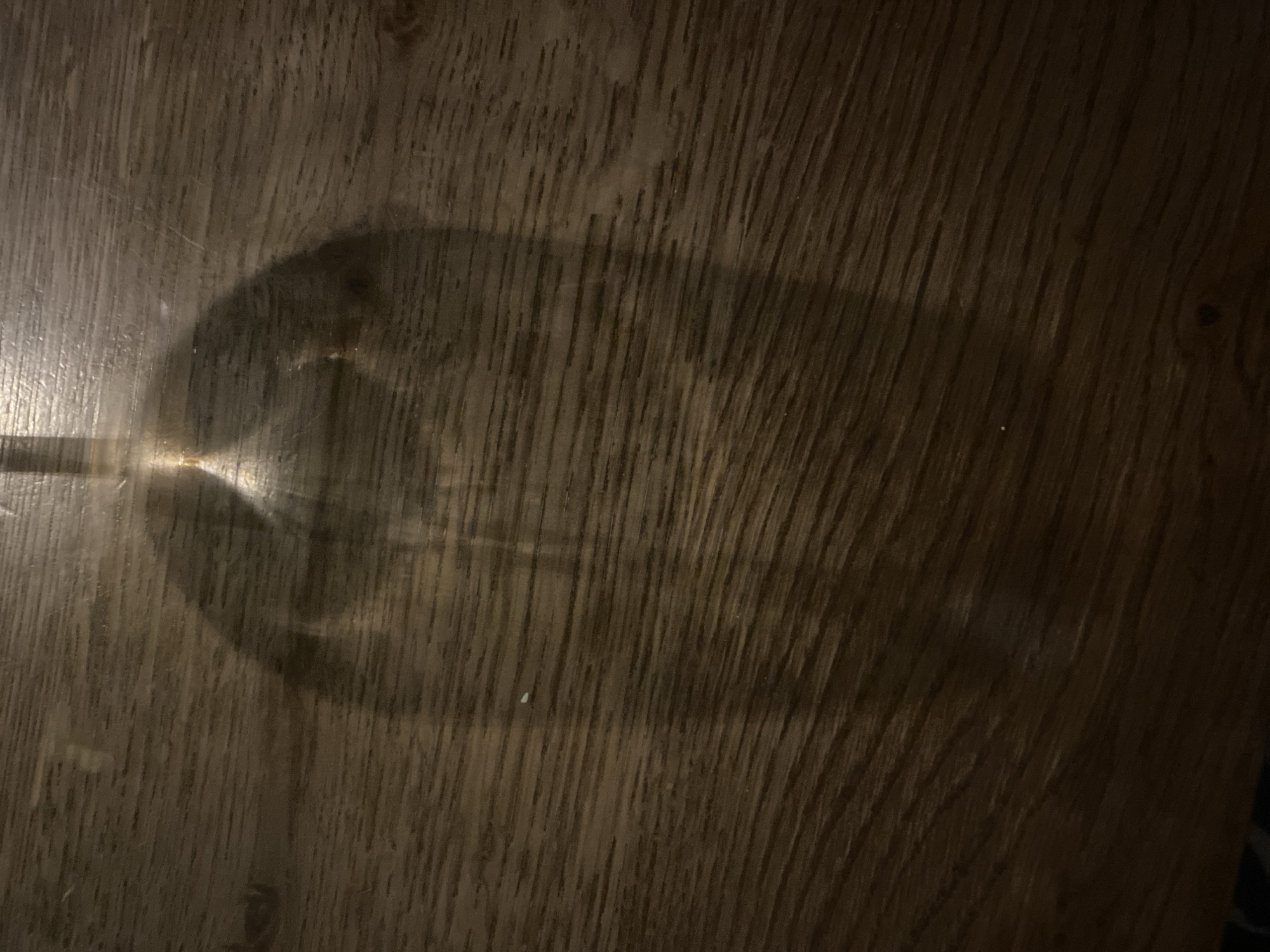 The image depicts a wine glass lying horizontally on a wooden surface. The wood has a prominent grain pattern. The glass is mostly transparent and creates a darker shadow around its outline, suggesting an empty glass or one containing a clear liquid. The glass's stem is visible to the left. There is no explicit information connecting this image to the city of Rehovot, Israel. No people, actions, or interactions are discernible. The scene is indoors with an unknown light source casting the shadow.