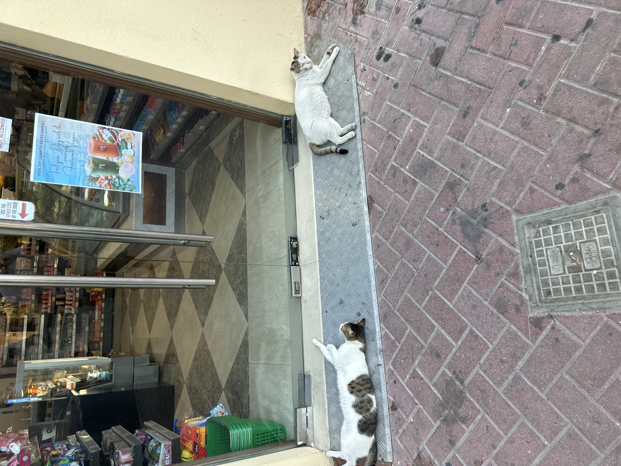 Two cats are resting on a metal ramp in front of a store entrance. The store appears to be a convenience store or small market, with shelves of products visible through the glass doors. A promotional poster for "HEALTHY SUMMER REFRESHMENT" featuring juices and produce is displayed on the glass. One cat is lying on its back, stretching, while the other is lying on its side. The ground is paved with reddish-brown brick pavers, and a metal grate is visible in the lower right corner. The scene appears to be outdoors, possibly during the day, with natural light. There is no clear indication of the weather, but the cats' relaxed posture suggests a comfortable temperature. The overall setting is a street-level storefront in a public area.