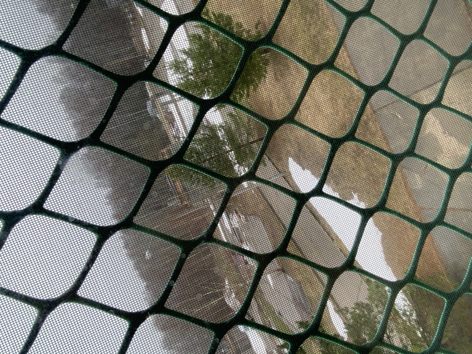 The image shows a view through a window screen. The screen has a green frame forming a grid pattern. The background outside the screen is blurry, but elements of trees and buildings can be discerned. There is nothing in the image to indicate that this image was taken in the city of Марковский, Russia.