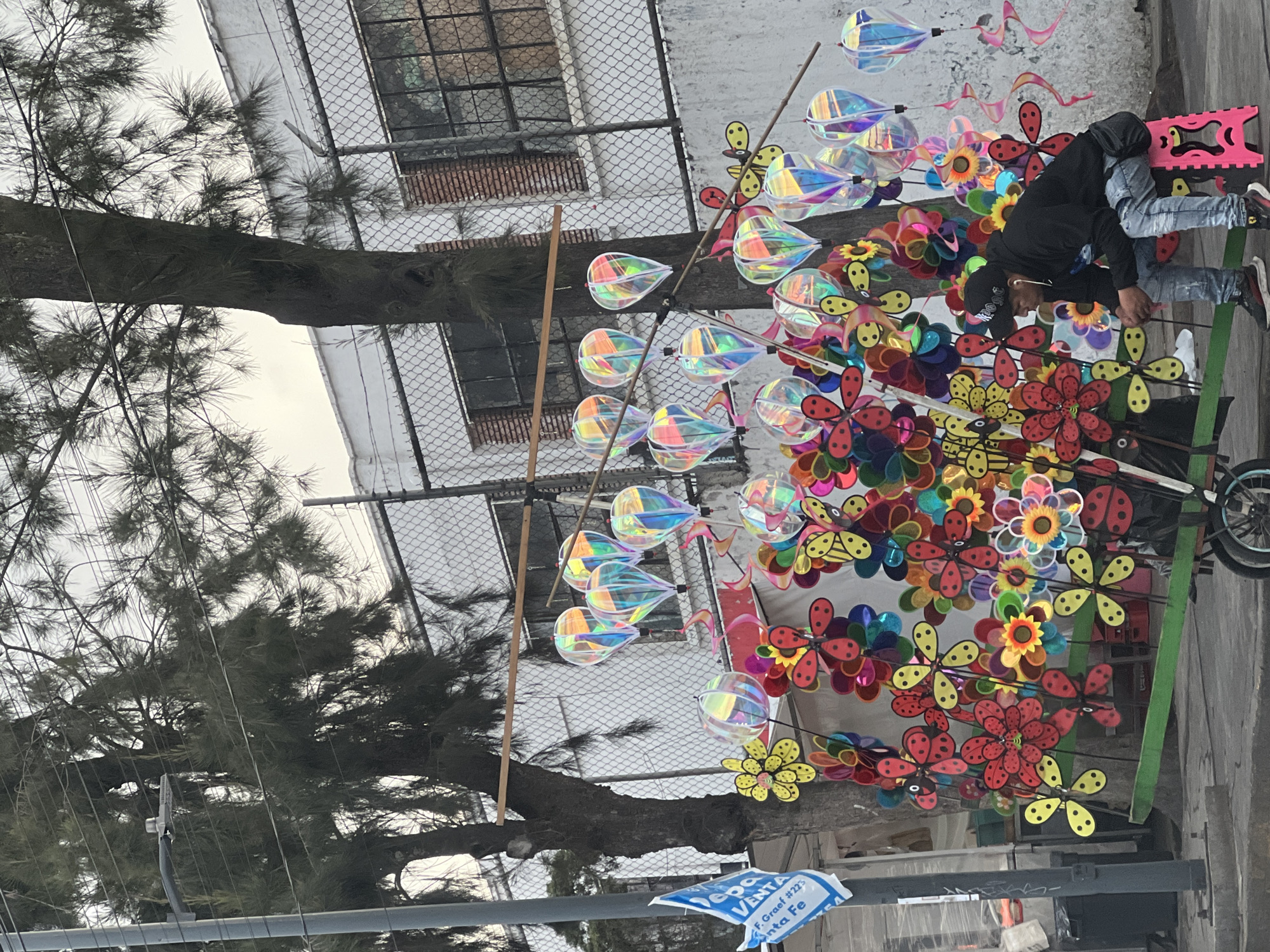 A man is selling colorful pinwheels and reflective whirligigs on a street in Mexico City, Mexico. The man, wearing a black jacket and jeans, stands next to a cart loaded with the toys, interacting with a customer. A chain-link fence separates the sidewalk from a building in the background. A large tree looms on the left side of the frame, partially obscuring the view. A blue and white sign with the words "VENTA" and "Santa Fe" is partially visible on the bottom left.