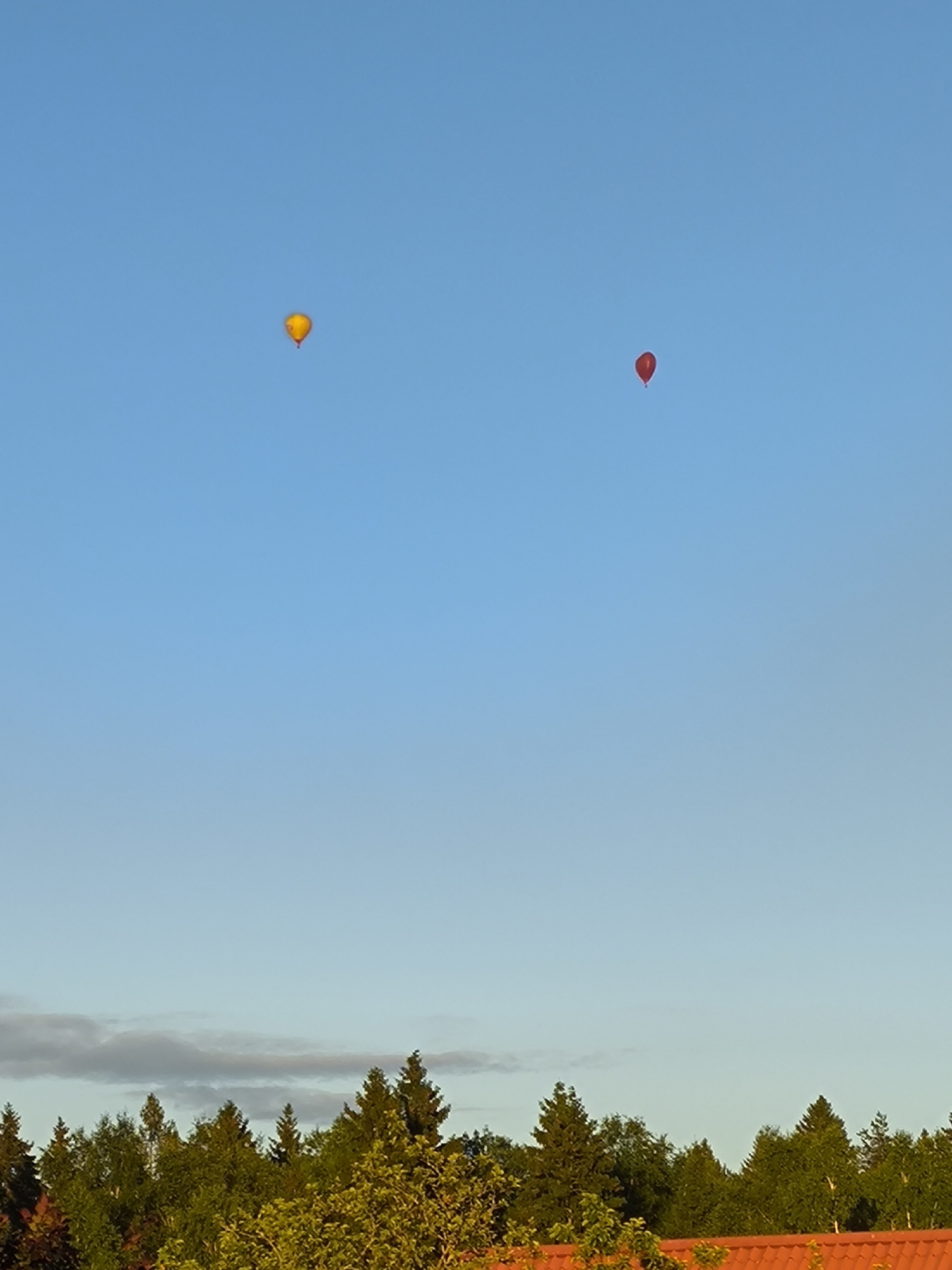Two hot air balloons, one yellow and one red, are visible in the clear blue sky above a treeline. The yellow balloon is to the left and slightly higher than the red balloon on the right. Below the sky, a dense line of green trees forms a silhouette against the sky. The lower part of the image shows a section of an orange-tiled roof. The scene appears to be in a rural or suburban area, likely during the daytime due to the bright sky and illumination of the trees. The location is identified as Novonikolskoye, Russia.