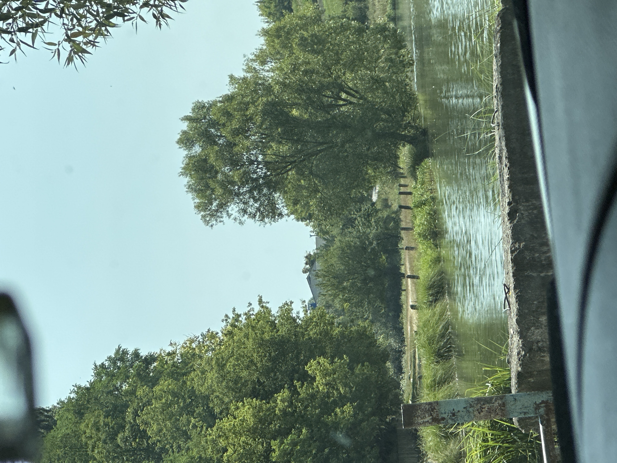 The image depicts a serene natural landscape, likely in the vicinity of Makiv, Ukraine, characterized by a body of water. A large, lush green tree dominates the center-right of the frame, its branches reaching towards the clear blue sky. To the left, another dense cluster of trees forms a verdant backdrop. The water's surface is calm, reflecting the surrounding greenery and sky with gentle ripples. Along the edge of the water, tall grasses and reeds grow, interspersed with wooden posts that suggest a boundary or perhaps part of a rustic fence. In the foreground, a concrete structure, possibly a retaining wall or pier, runs horizontally across the bottom of the image. Resting on this concrete structure is a pair of eyeglasses. The scene conveys a sense of tranquility and natural beauty.