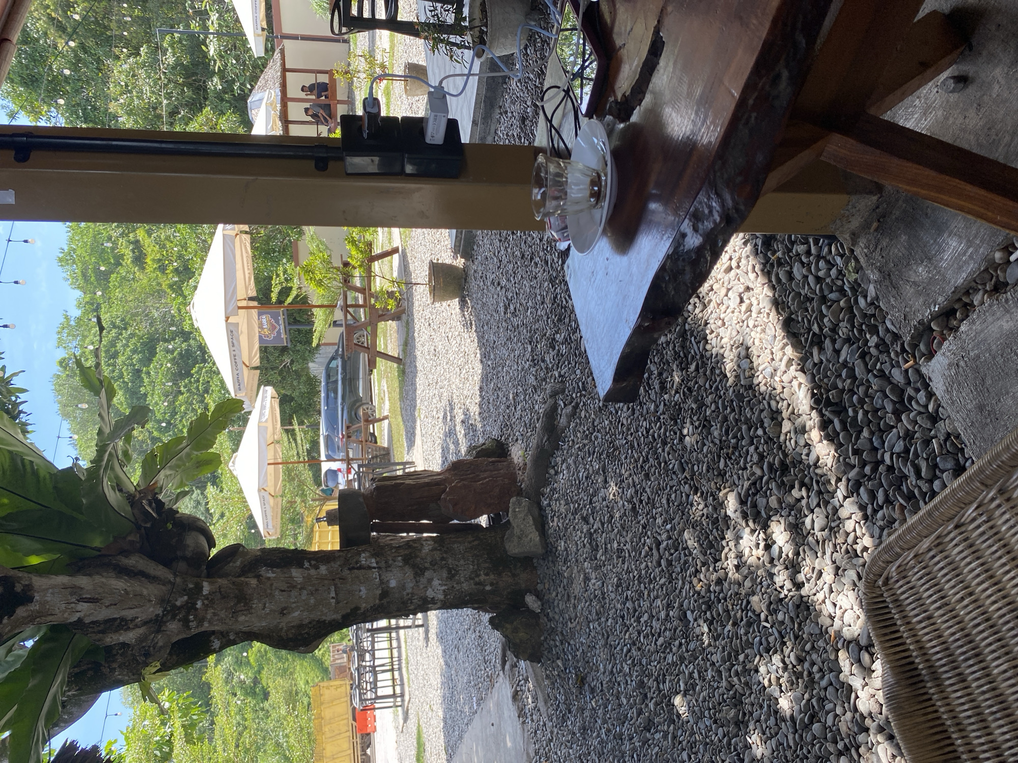 The image depicts an outdoor seating area at a coffee shop with a rustic aesthetic. The foreground features a wooden table with a live edge, on which sits a nearly empty glass of espresso and a smartphone. To the left, a portion of a woven chair is visible, and the ground is covered in small gray pebbles. In the mid-ground, a large tree with a bird's nest fern growing on it stands prominently. Several white umbrellas providing shade for outdoor seating are visible, some with signage indicating "BARRA COFFE & SPACE." Beyond the umbrellas, there are wooden picnic tables and benches, and a dark-colored SUV is parked. A small thatched-roof gazebo with people sitting inside is also present. In the background, lush green trees and foliage are abundant under a clear blue sky. The overall setting suggests a casual and relaxed atmosphere, likely in a tropical or subtropical environment, possibly the city of Aluepiet, Indonesia, given the context. The lighting indicates it is daytime, with sunlight dappling through the leaves of the tree.