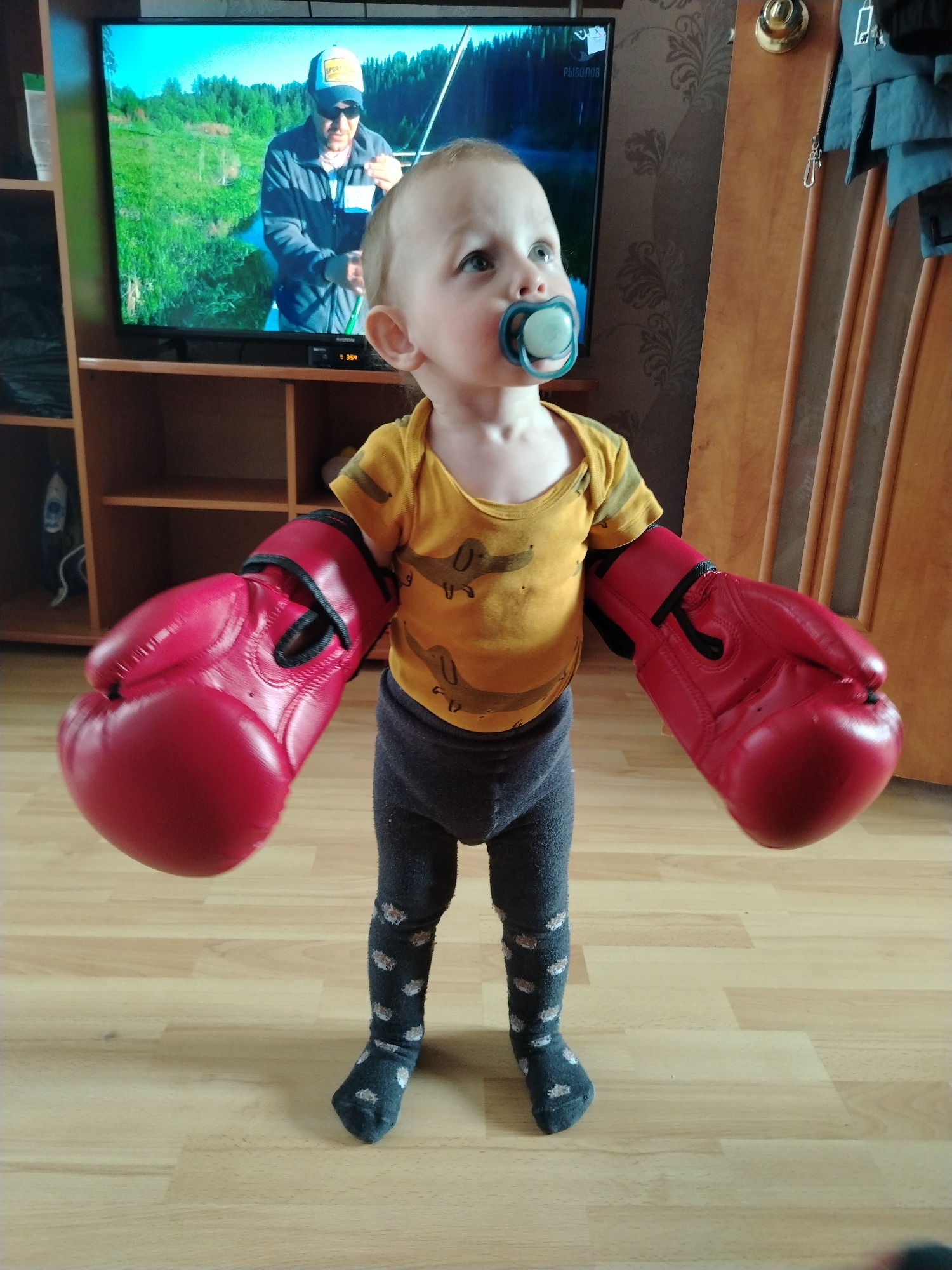 An indoor scene in a residential dwelling in Nizhnyaya Gar', Russia, depicts a young child, appearing to be a toddler, standing on light wooden laminate flooring. The child has light-colored hair, wears a yellow short-sleeved top with a dark pattern, dark grey full-length leggings with a speckled lighter pattern, and dark grey socks. A blue and white pacifier is in the child's mouth. The child's hands are encased in oversized red boxing gloves, and their gaze is directed upwards and slightly to the right. To the left in the background, a black flat-screen television is situated on a light brown wooden shelving unit. The television displays an outdoor scene featuring a man fishing, wearing a grey jacket, sunglasses, and a "SPORT" branded cap, against a backdrop of green foliage and a body of water. To the right, a light brown wooden door with vertical paneling and a brass-colored doorknob is partially visible, preceded by patterned wallpaper. Dark garments hang from a hook on the door.