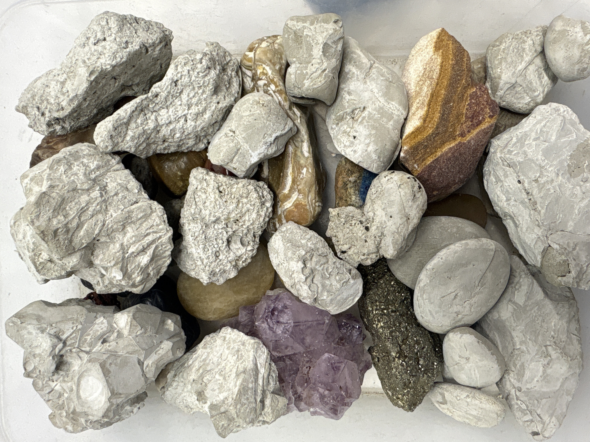 A collection of rocks and minerals is arranged in a container, likely a plastic box, viewed from above. The composition includes a variety of textures and colors. There are several rough, porous gray rocks, potentially pumice or a similar volcanic rock. Smooth, gray river stones are also present. Other notable items are a crystalline purple cluster, likely amethyst, a metallic, dark-colored rock with a glittering surface, possibly pyrite, and a banded rock with shades of brown, orange, and red. The environment appears to be indoors, with indirect natural lighting illuminating the collection. There is no indication of this image being taken in Mexico City specifically. No people, interactions, or actions are visible in the image.