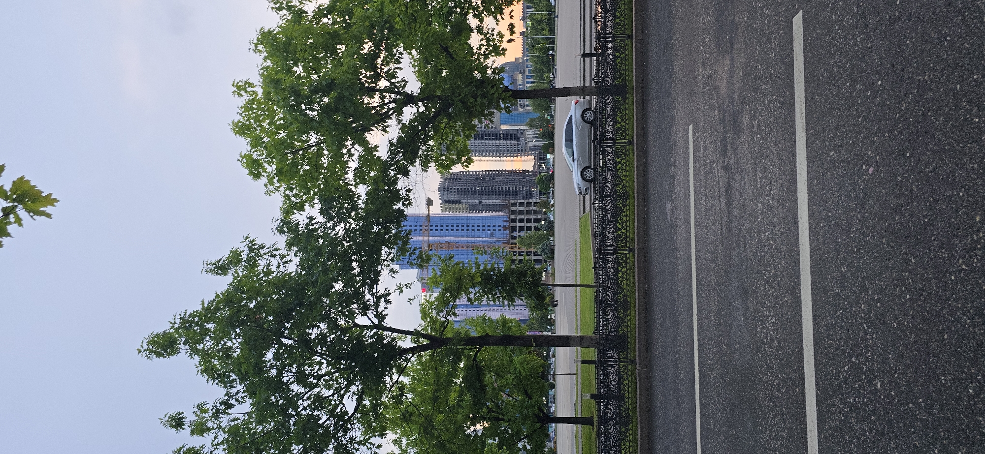 The image shows a street scene, possibly in Grozny, Russia, given the high-rise construction in the background which resembles modern urban development. The scene is dominated by a paved road with painted white lane dividers occupying a significant portion of the frame. A decorative wrought-iron fence runs parallel to the road, separating it from a narrow strip of grass. Trees are planted along the fence line, their green foliage partially obscuring the view of buildings under construction in the distance. A parked silver car is visible near the fence. The sky is visible in the upper part of the image, showing a transition from lighter tones to possible sunset colors.