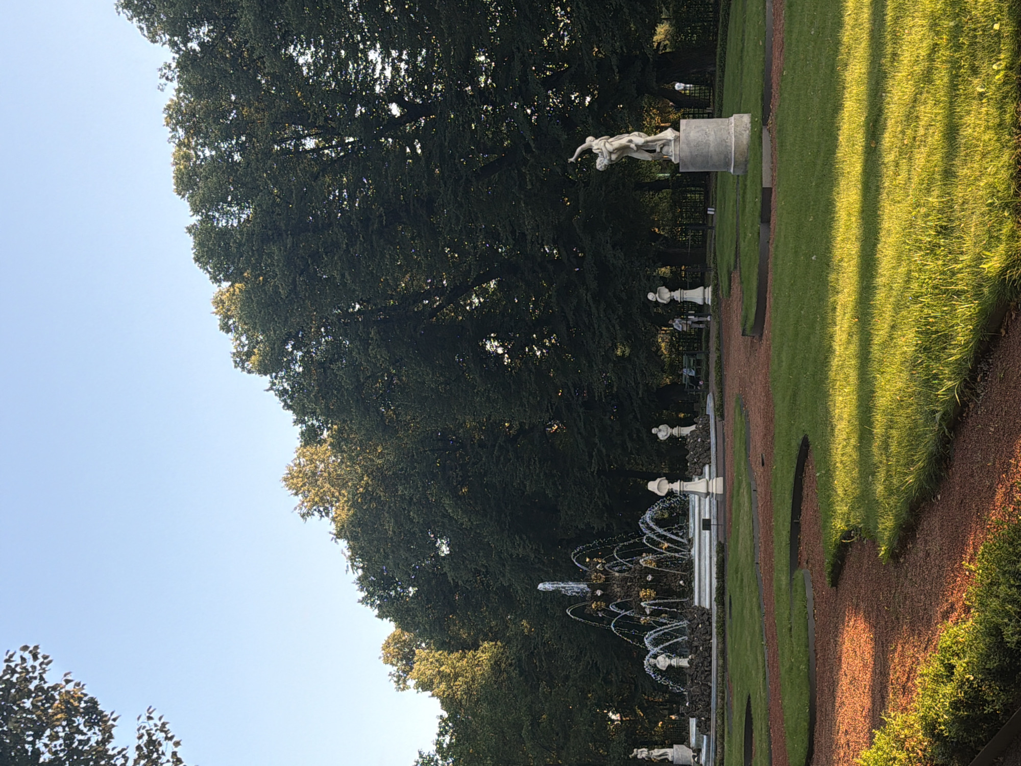 The image depicts a scene in a park with a large fountain and several statues. In the background, a dense row of mature trees forms a dark green canopy against a clear sky. The fountain is the central focus, with multiple tiers of water spraying upwards. Surrounding the fountain are several white pedestal statues, some with busts and others full figures. To the right of the fountain, a prominent statue of two figures, one carrying the other, stands on a cylindrical pedestal. The foreground shows a manicured lawn with pathways made of reddish-brown gravel. The sunlight casts long shadows across the grass, indicating it is late afternoon or early evening. There are a few indistinct figures visible in the distance, suggesting a public park setting. The overall atmosphere is serene and stately. This scene is characteristic of the many gardens and parks found in Saint Petersburg, Russia, known for their elaborate fountains and classical sculptures, such as those found in Peterhof or Catherine Palace.