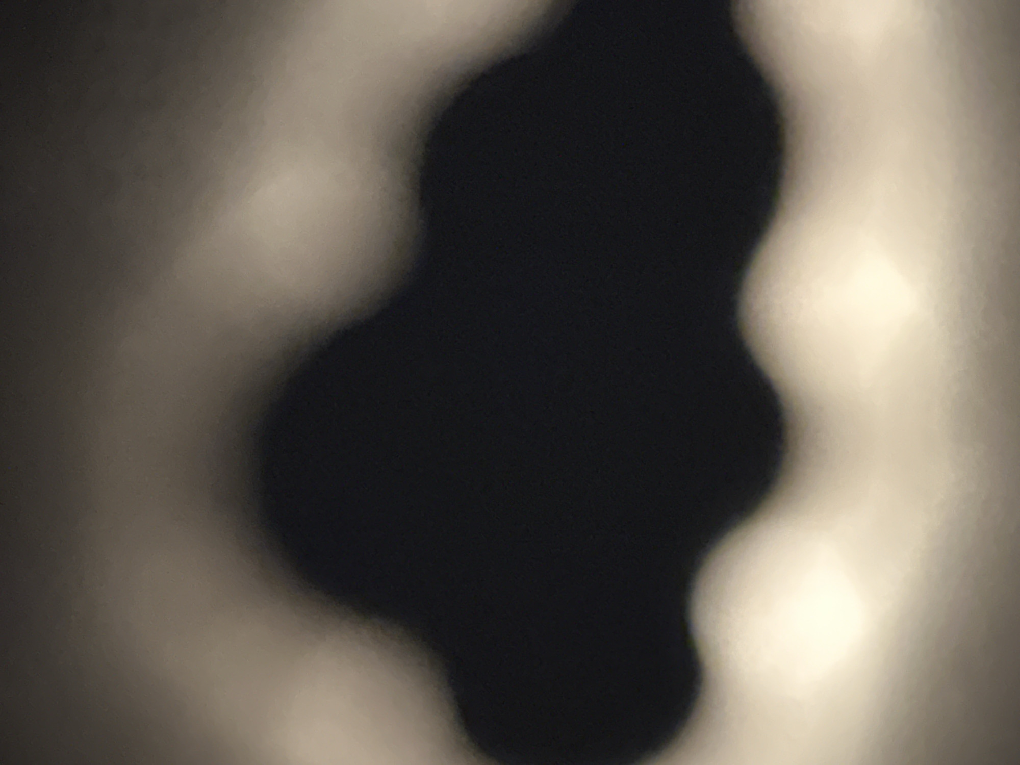 The image shows a blurry, dark, amoeba-like shape in the center, surrounded by a hazy, light-colored background. There is no visible context to determine a location in Chaikovsky, Russia, or any specific subjects, objects, or actions.