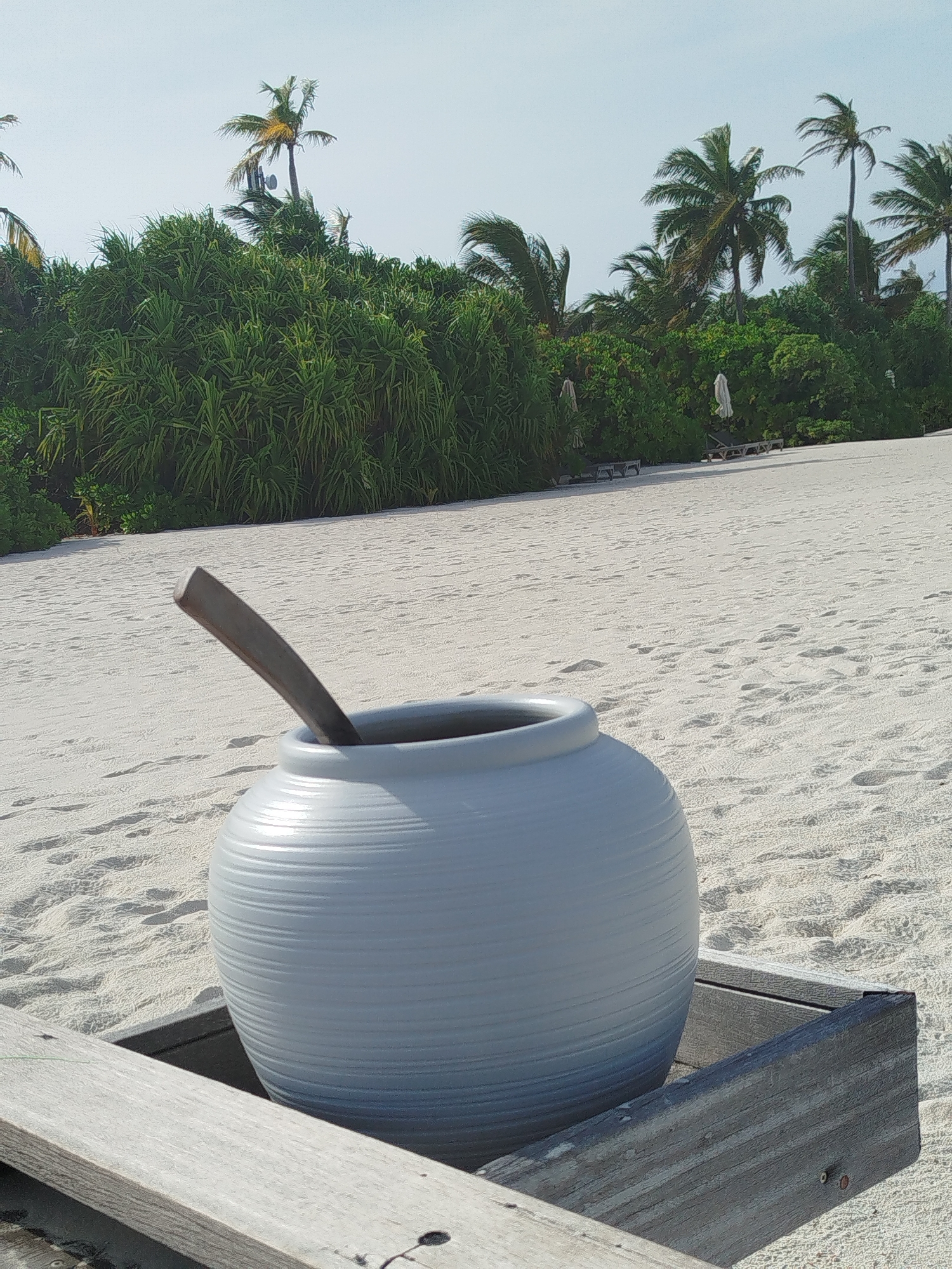In Hinnavaru, Maldives, a light blue, ribbed ceramic pot sits in a weathered wooden planter box on a sandy beach. A dark wooden scoop or paddle is placed diagonally inside the pot, with its handle extending upwards. The background features lush green vegetation, including palm trees and dense shrubs, under a pale blue sky. In the distance, lounge chairs and umbrellas are visible on the beach, suggesting a resort setting. The sand is imprinted with footprints and textured by the sea breeze.